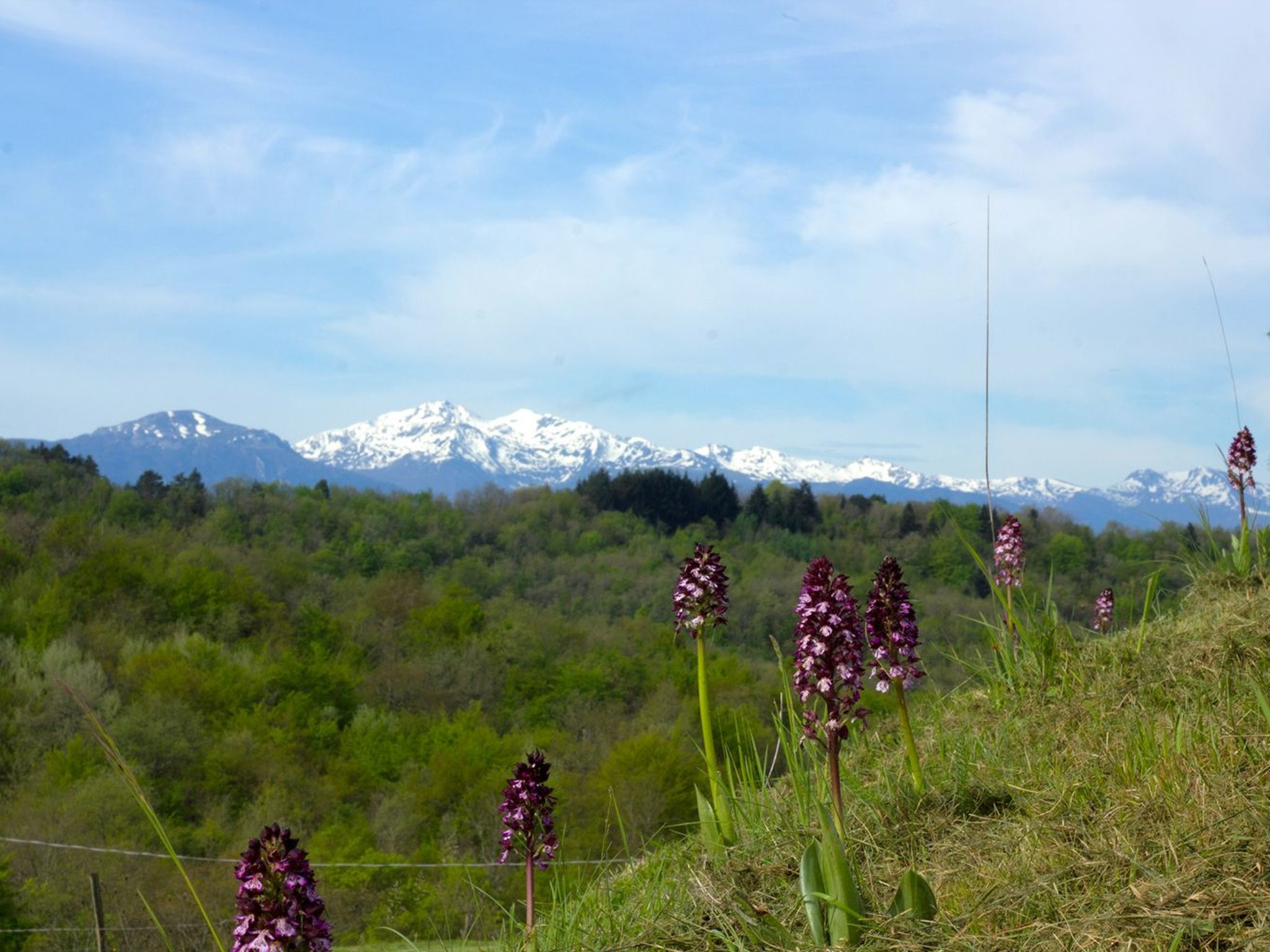 Sehr großes Ferienhaus inmitten der Natur-Binnen