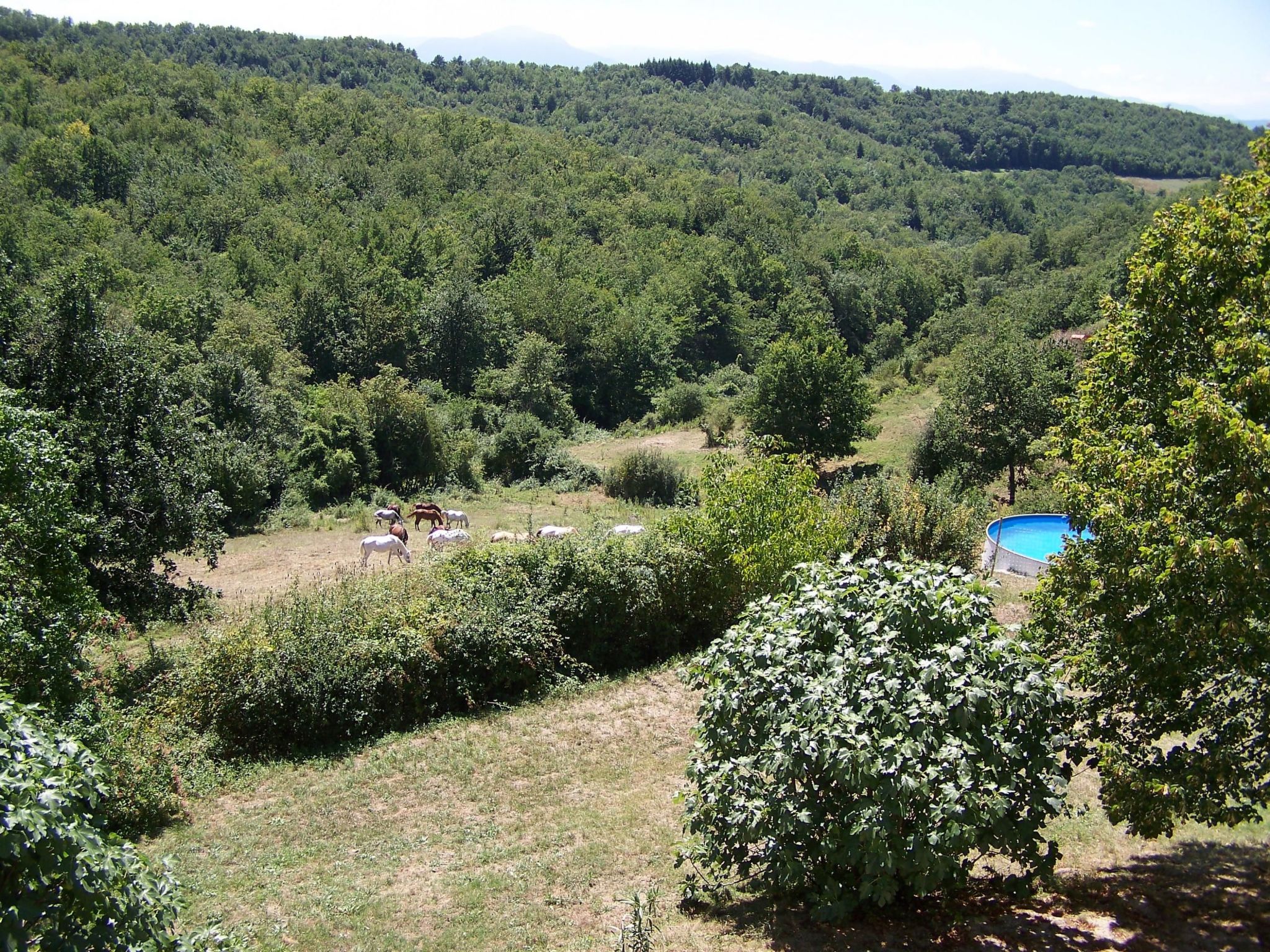 Sehr großes Ferienhaus inmitten der Natur-Binnen