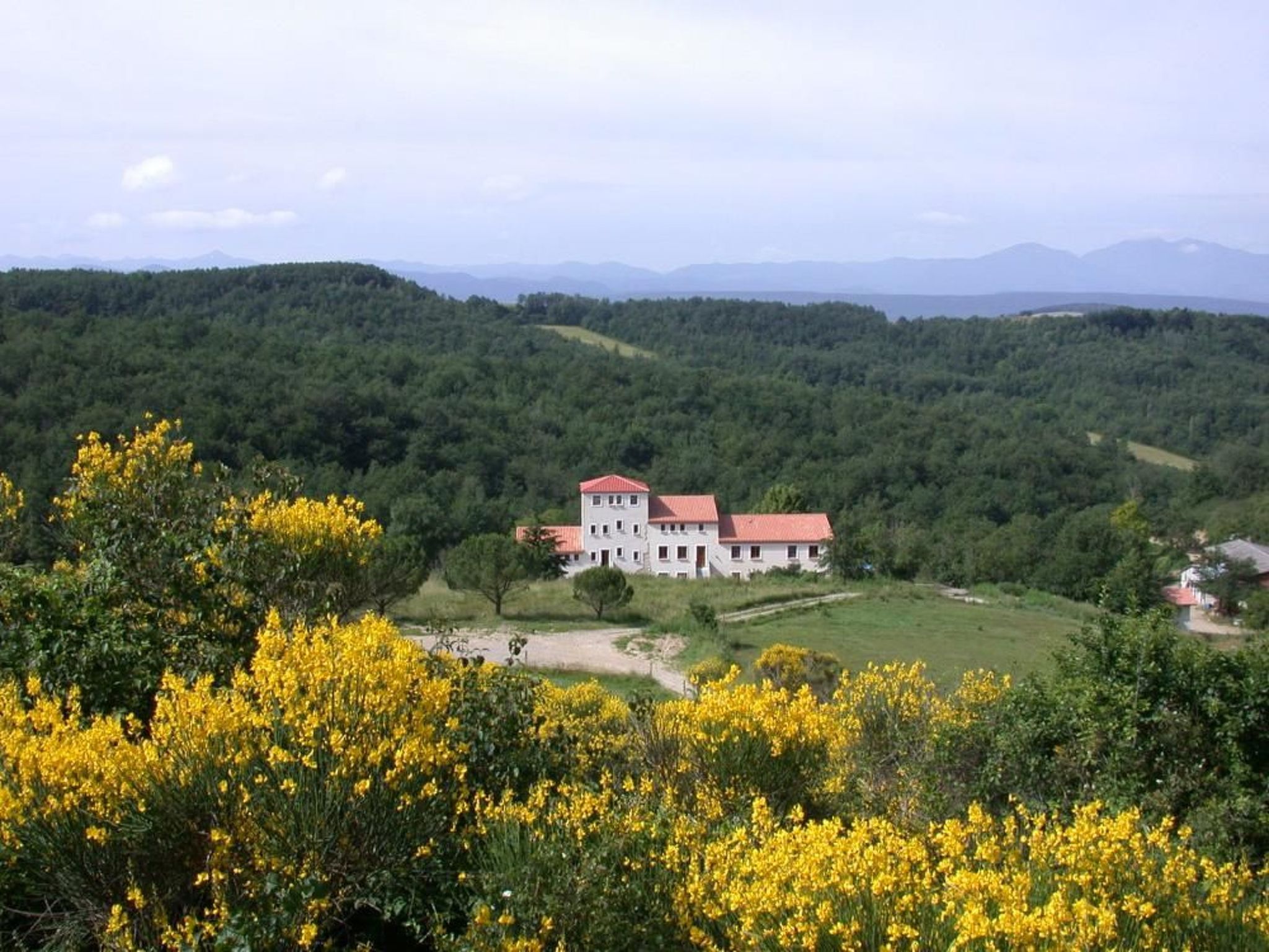 Sehr großes Ferienhaus inmitten der Natur-Binnen