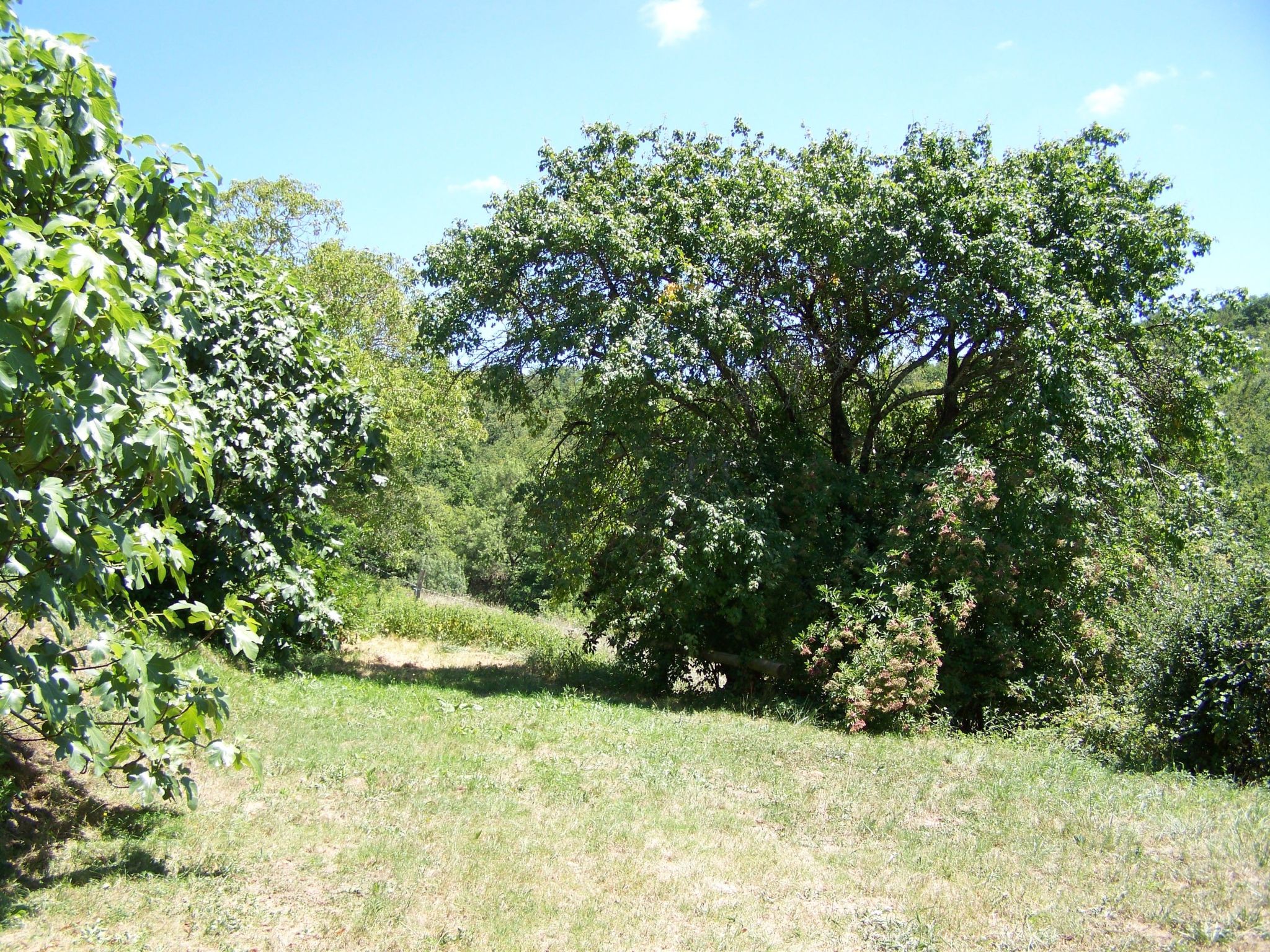 Luxuriöses Ferienhaus mit mehreren Terrassen-Binnen