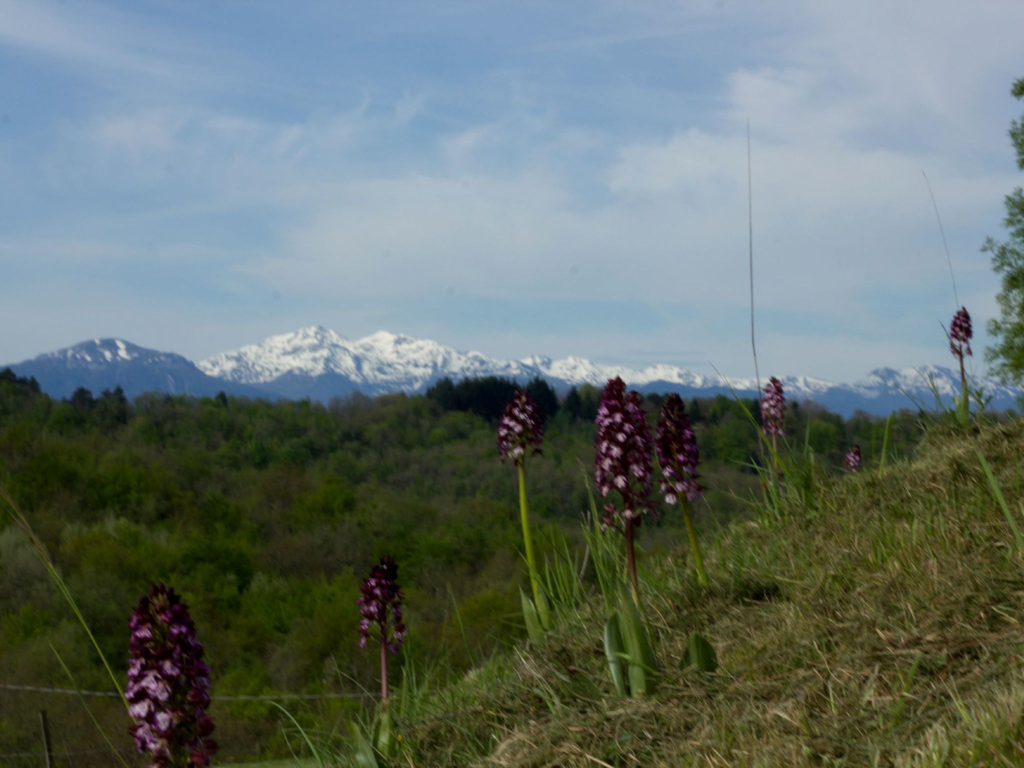 Luxuriöses Ferienhaus mit mehreren Terrassen-Binnen