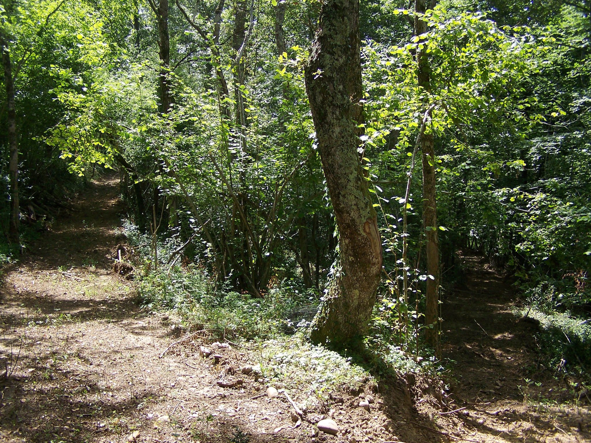 Luxuriöses Ferienhaus mit mehreren Terrassen-Binnen