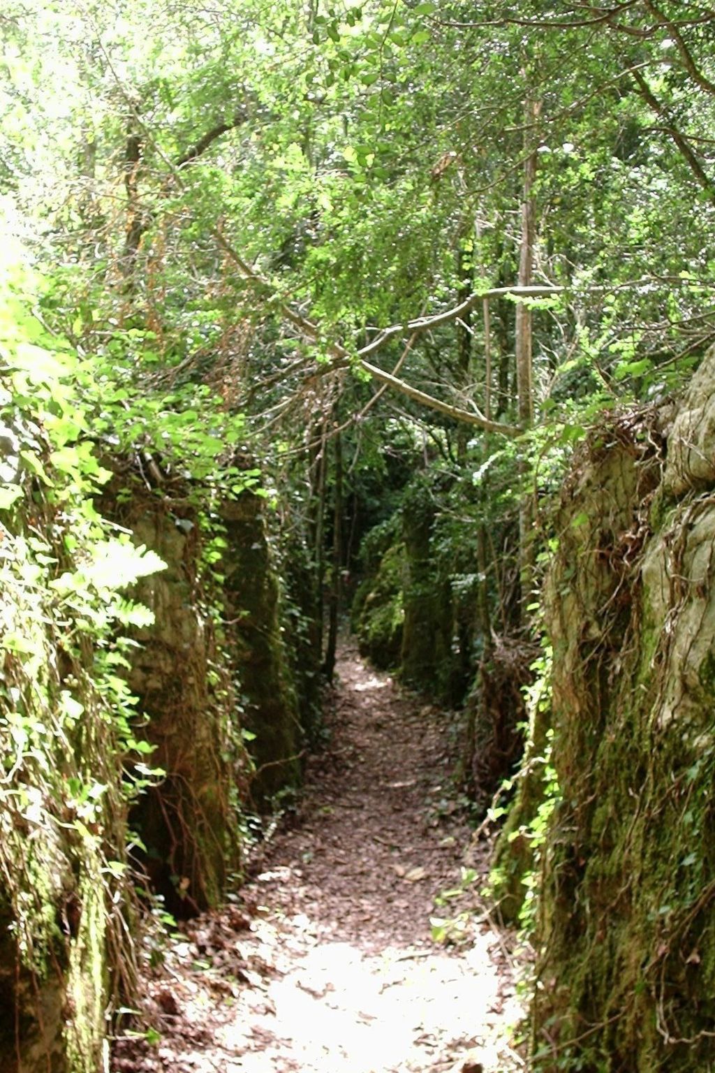Ruhig gelegenes Ferienhaus, ideal für Bergsport-Binnen