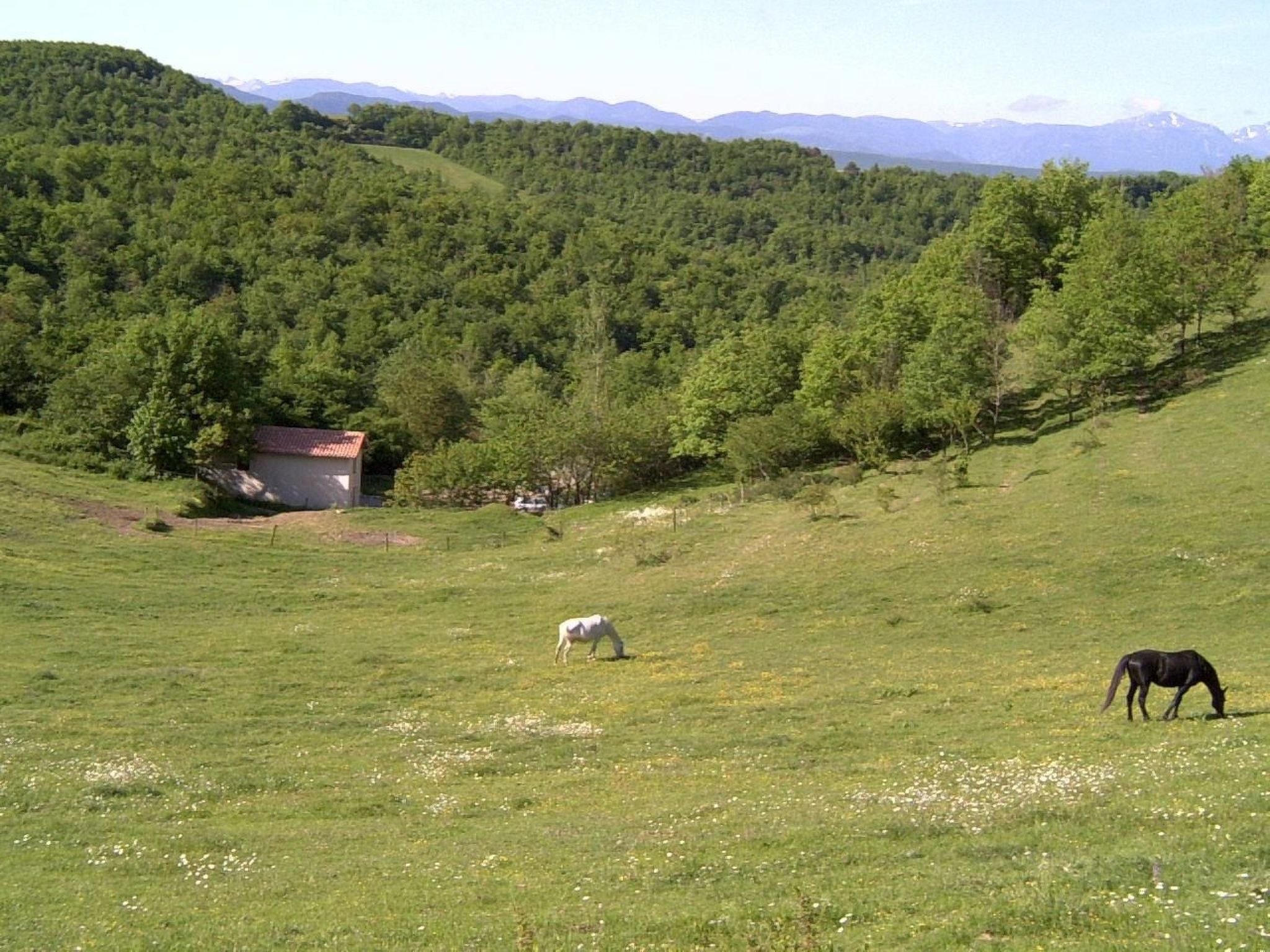 Ruhig gelegenes Ferienhaus, ideal für Bergsport-Binnen