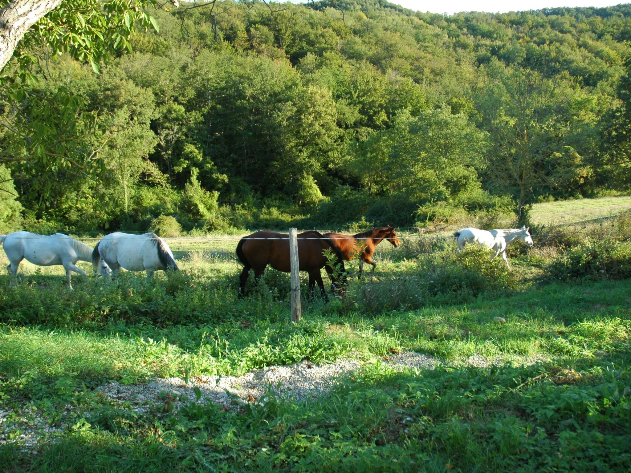 Ruhig gelegenes Ferienhaus, ideal für Bergsport-Binnen