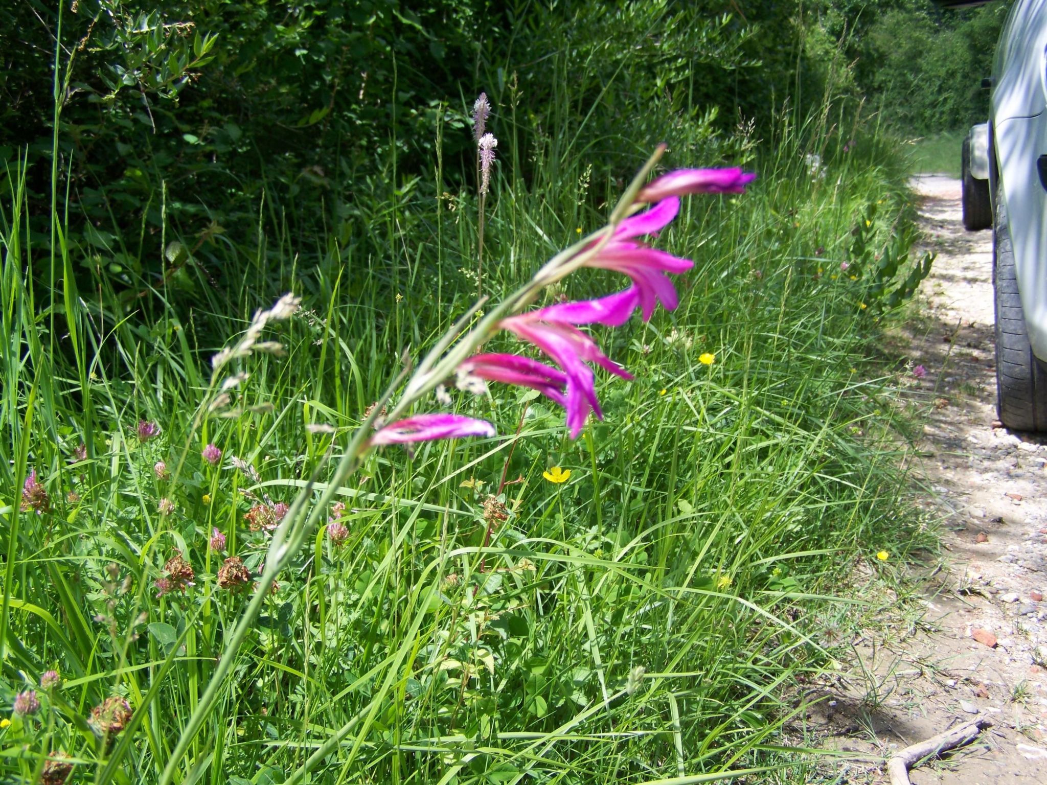 Ruhig gelegenes Ferienhaus, ideal für Bergsport-Binnen