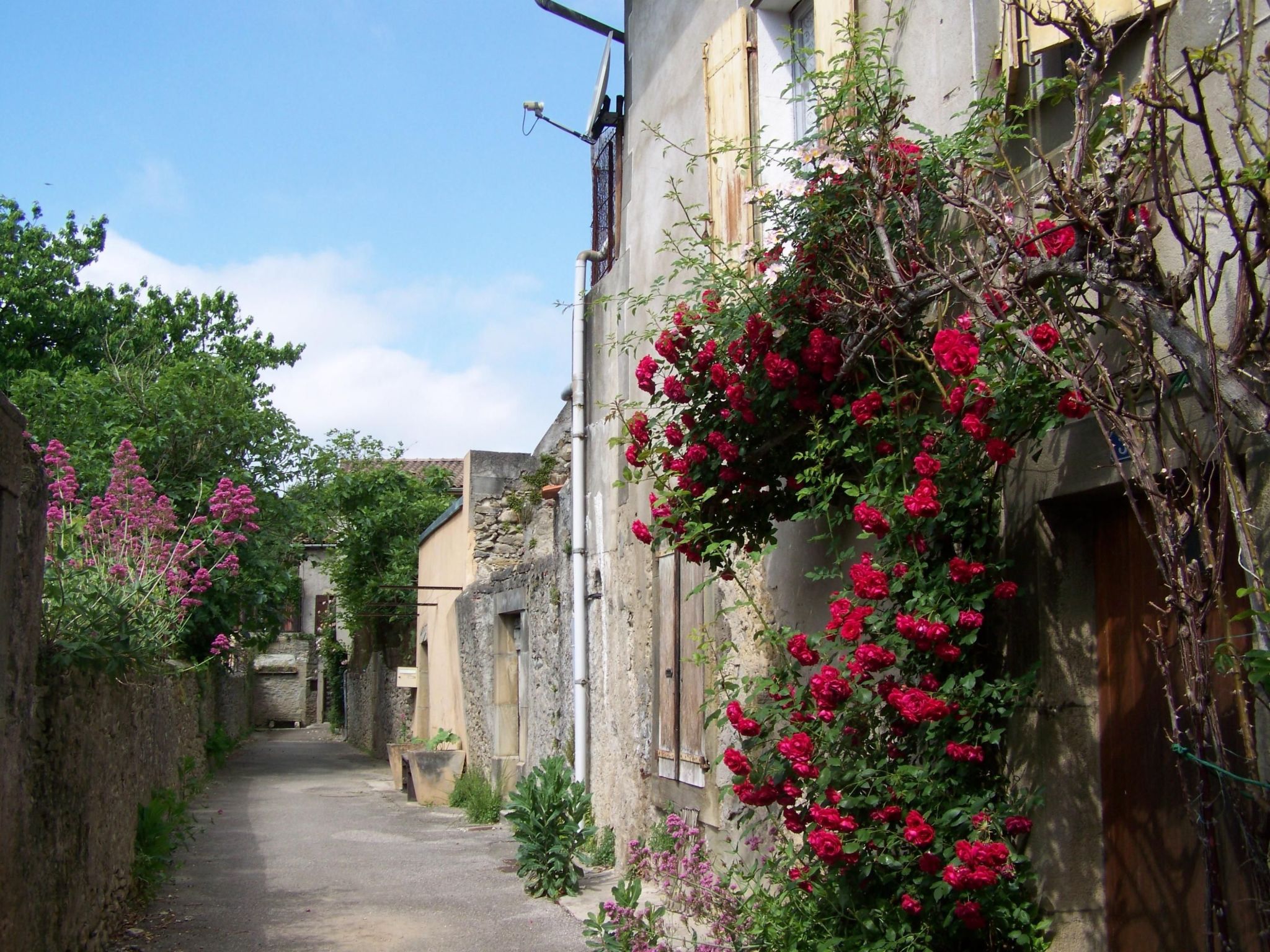 Ruhig gelegenes Ferienhaus, ideal für Bergsport-Binnen