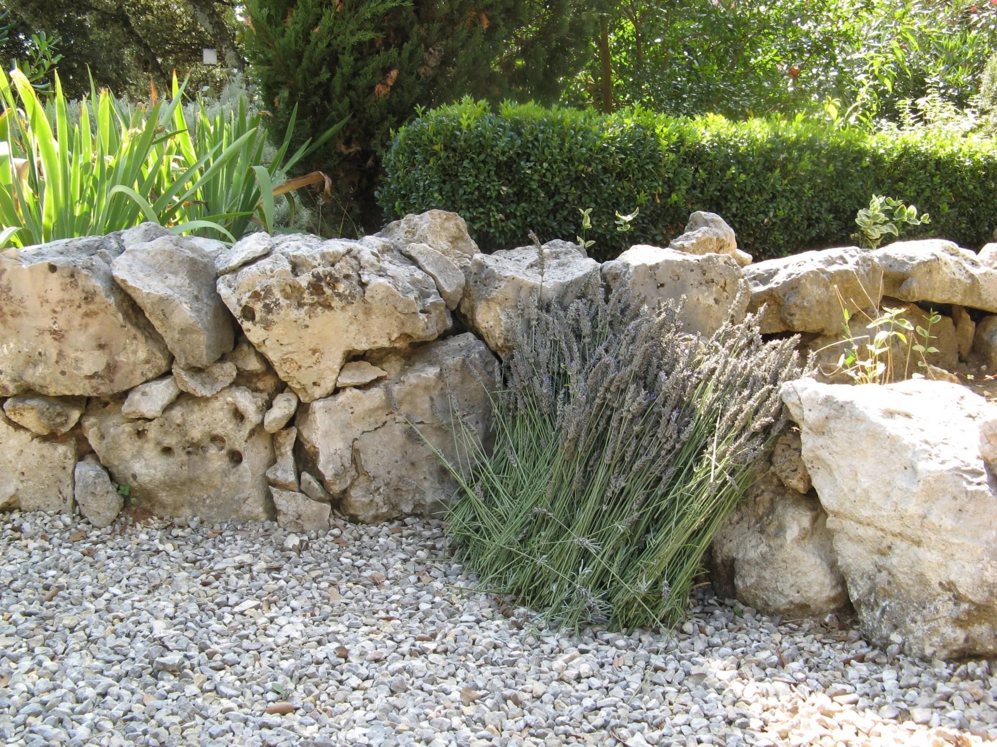 À l'abri du Mistral-Dedans