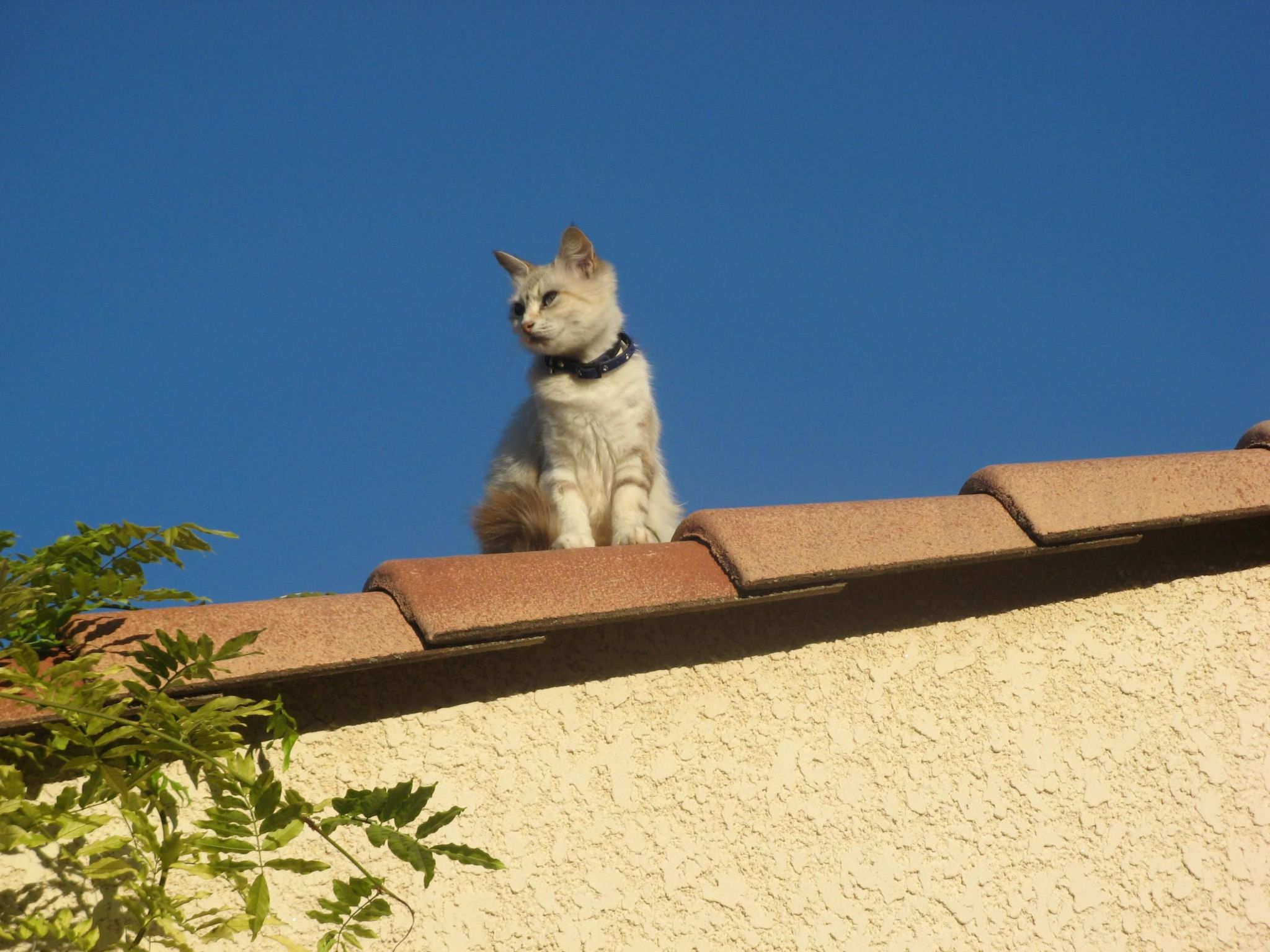 À l'abri du Mistral-Binnen