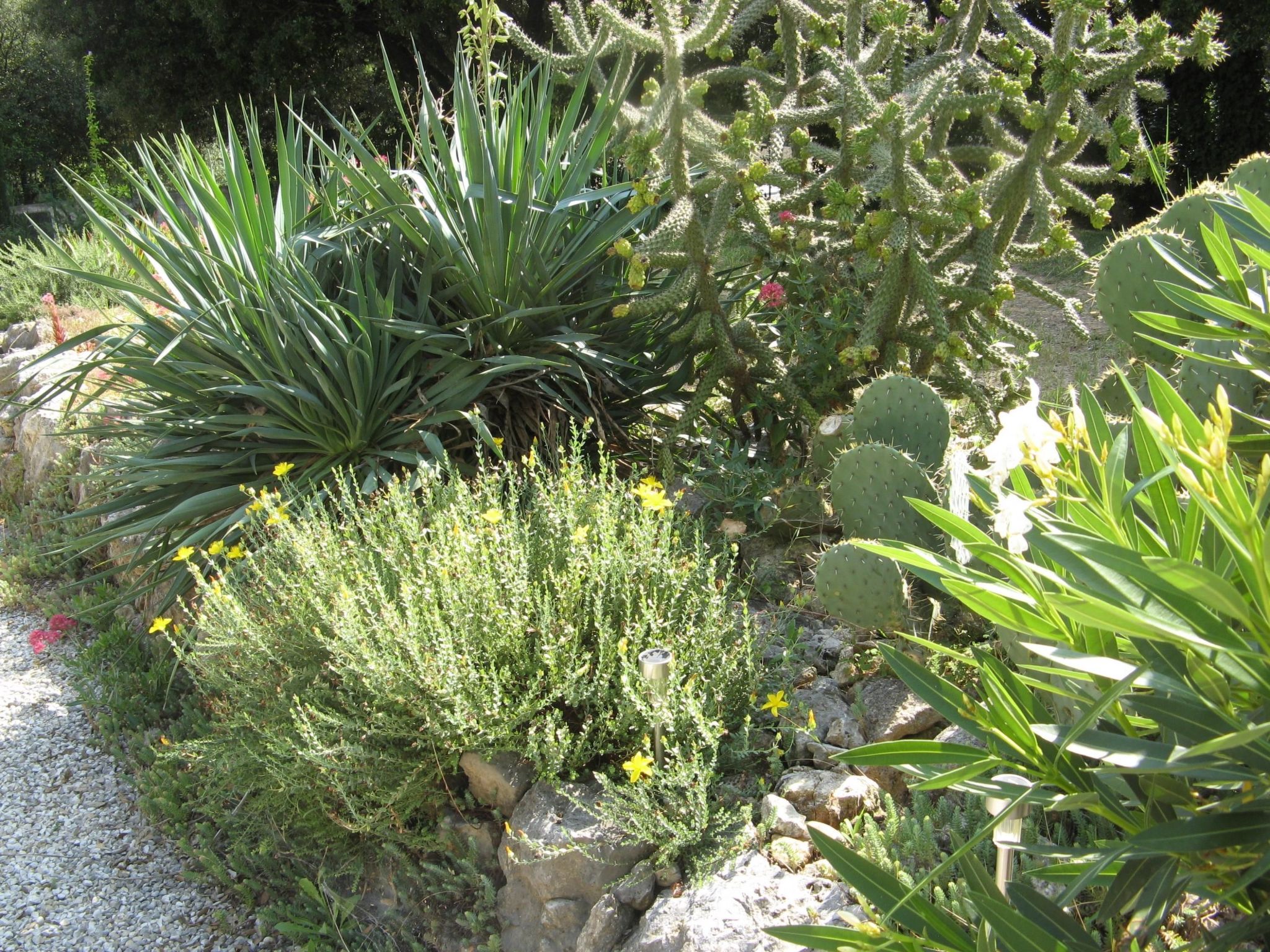 À l'abri du Mistral-Binnen