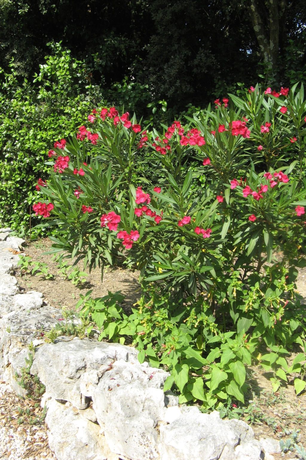 À l'abri du Mistral-Binnen