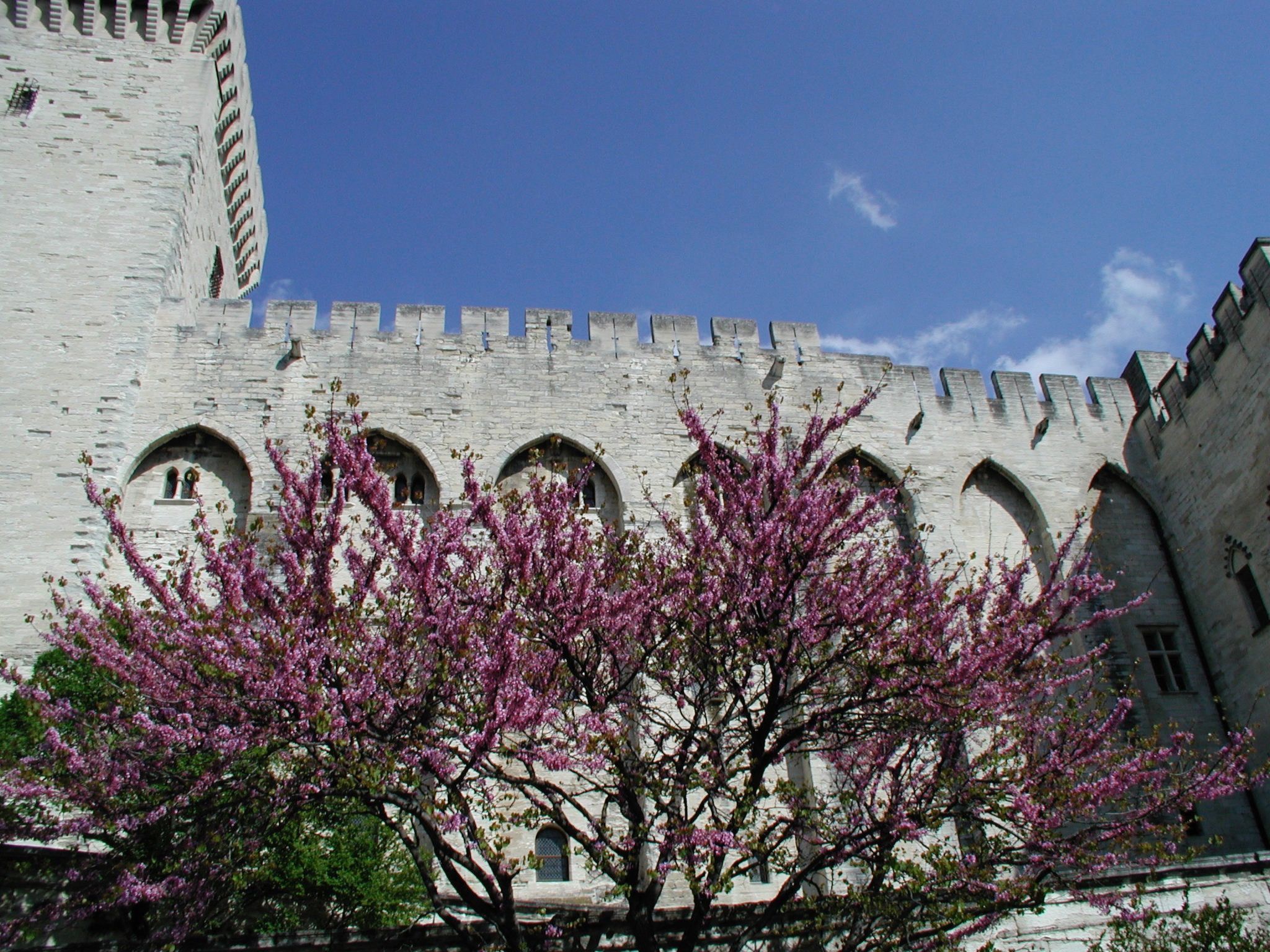 À l'abri du Mistral