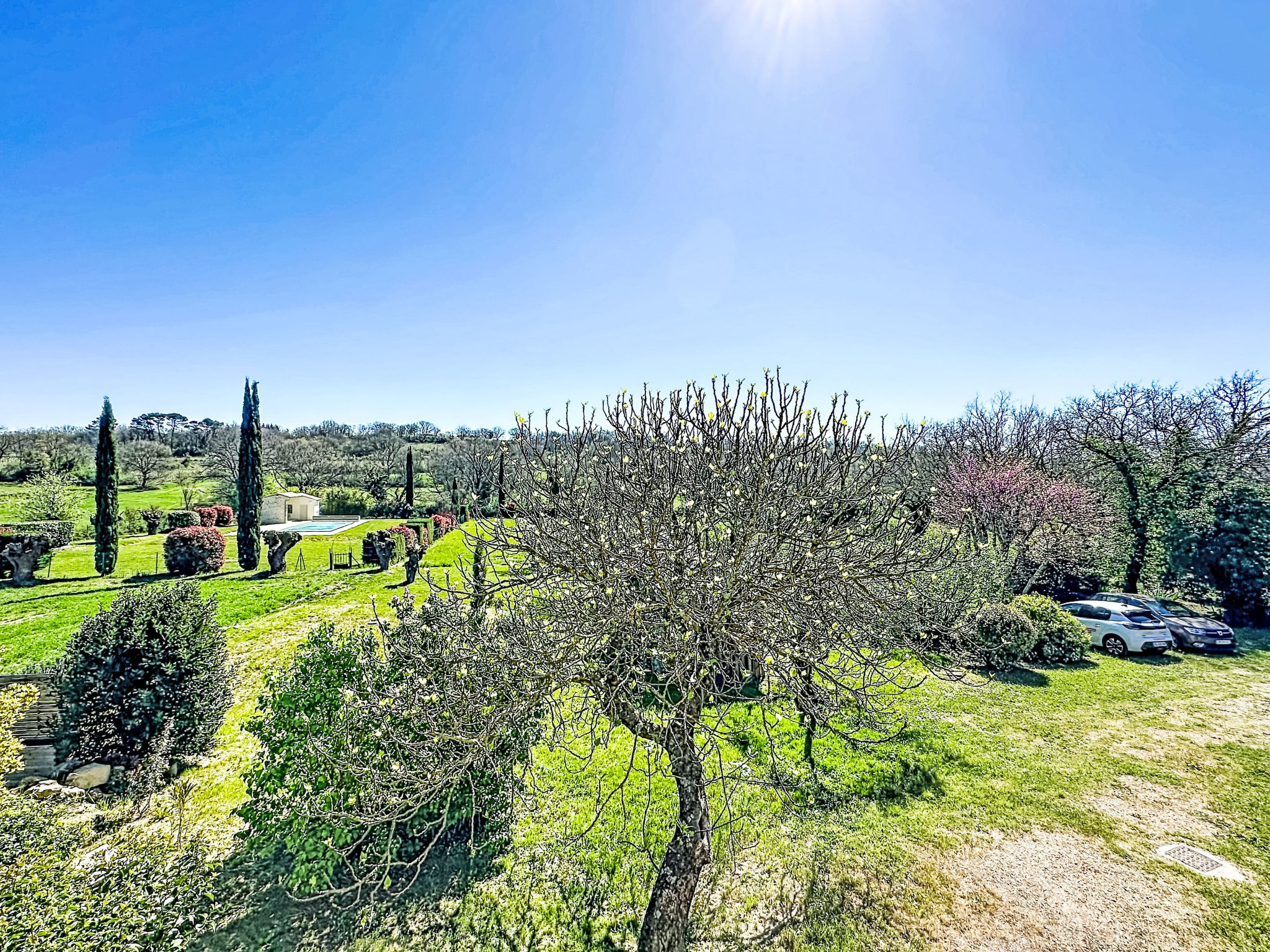 Mas des vignes - Buiten