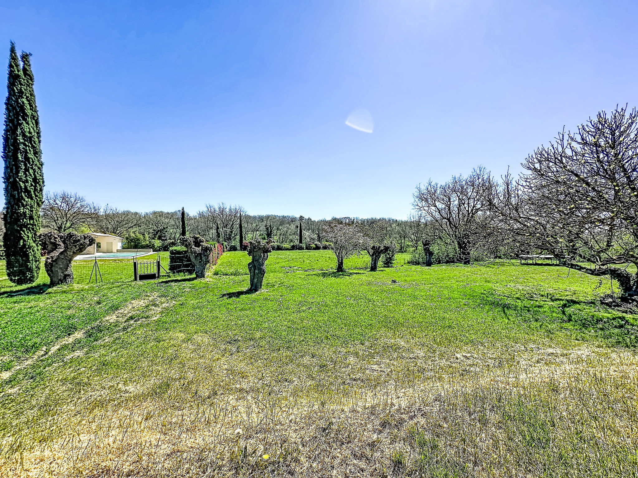 Mas des vignes - Buiten