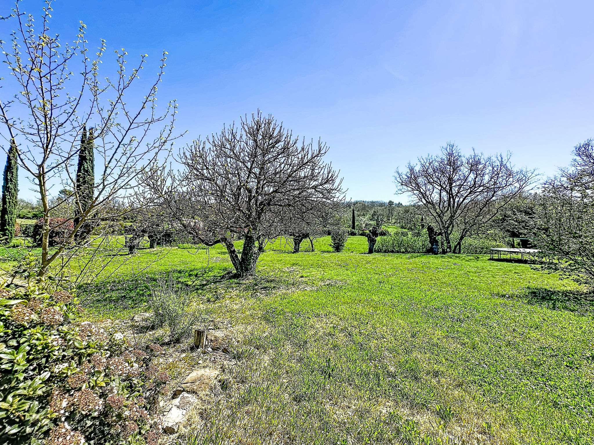 Mas des vignes - Buiten