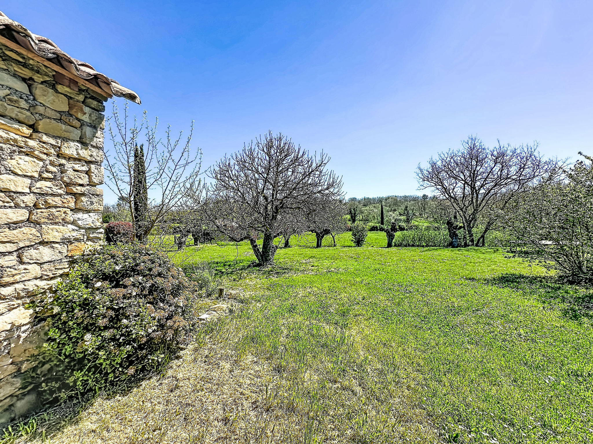 Mas des vignes - Buiten