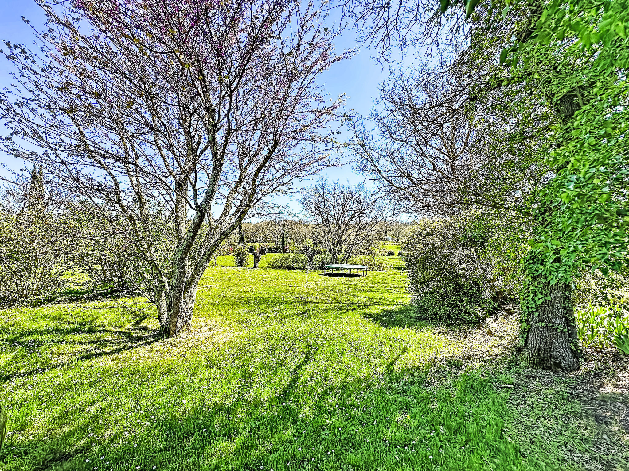 Mas des vignes - Buiten