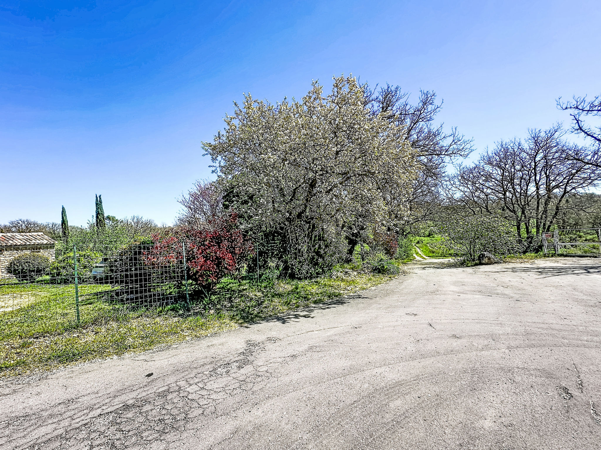 Mas des vignes - Buiten