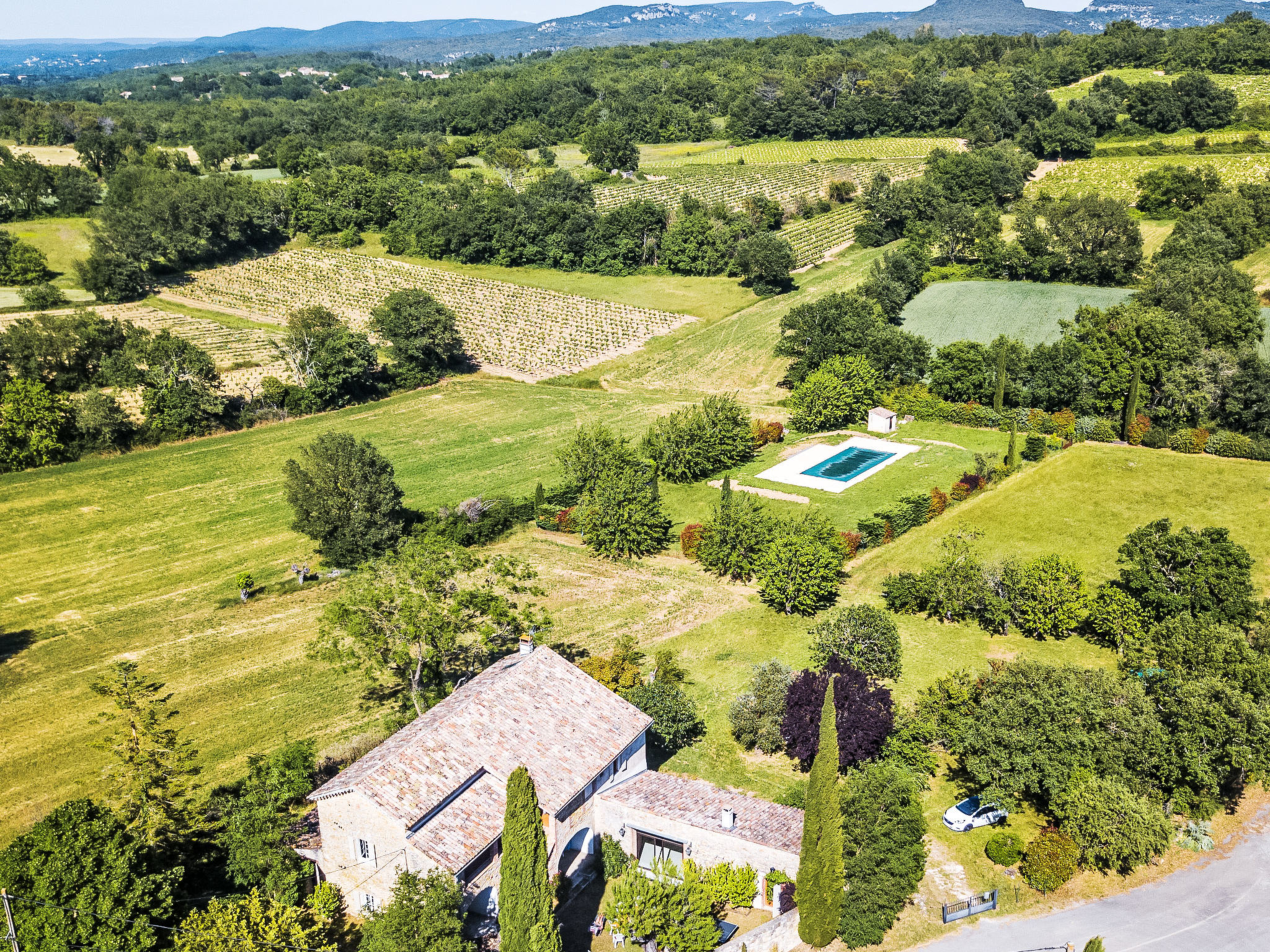 Mas des vignes - Buiten