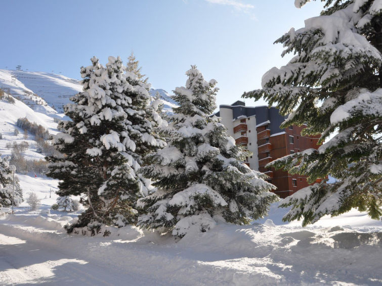 Photo of Edelweiss