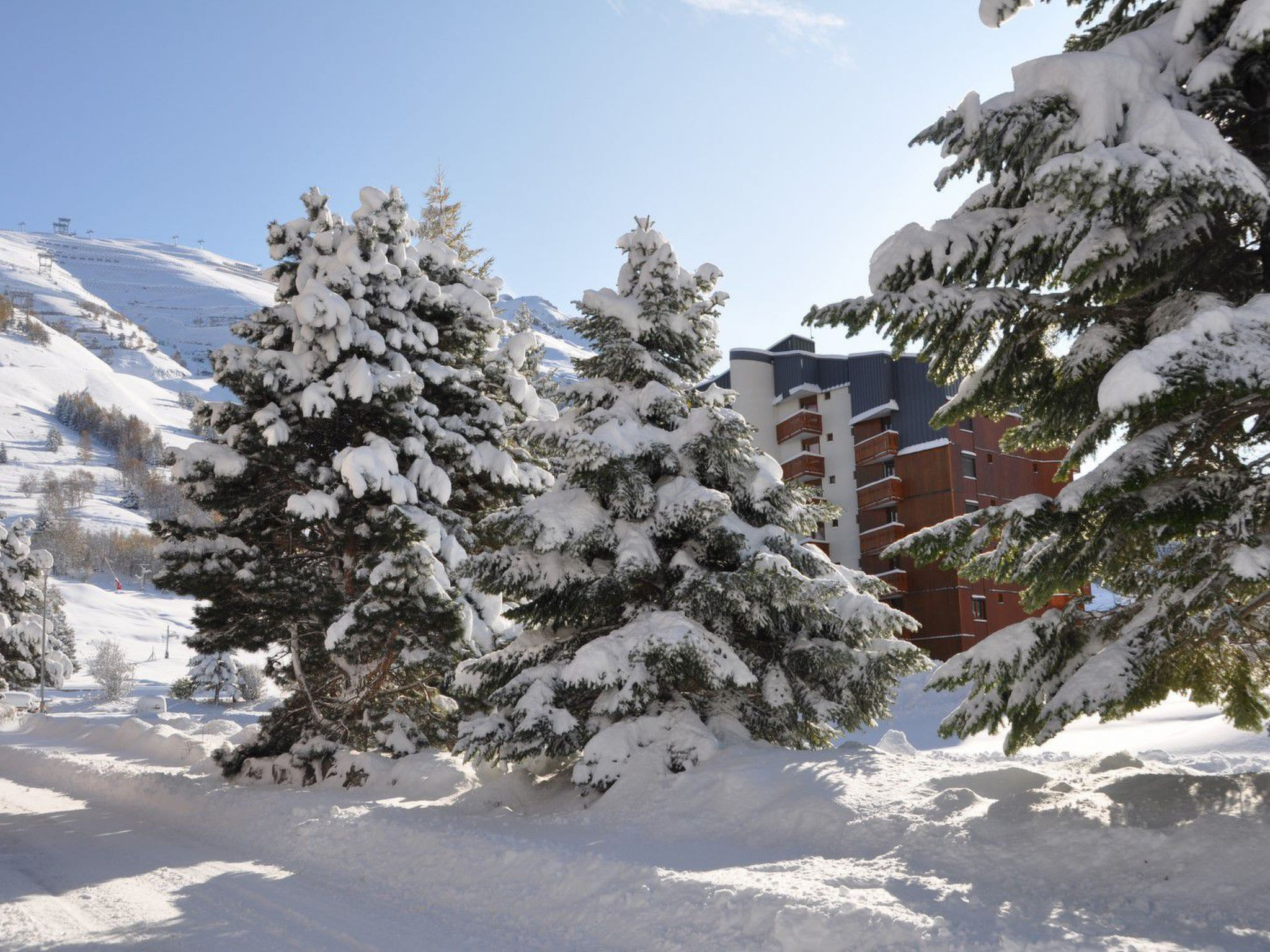 Photo of Edelweiss