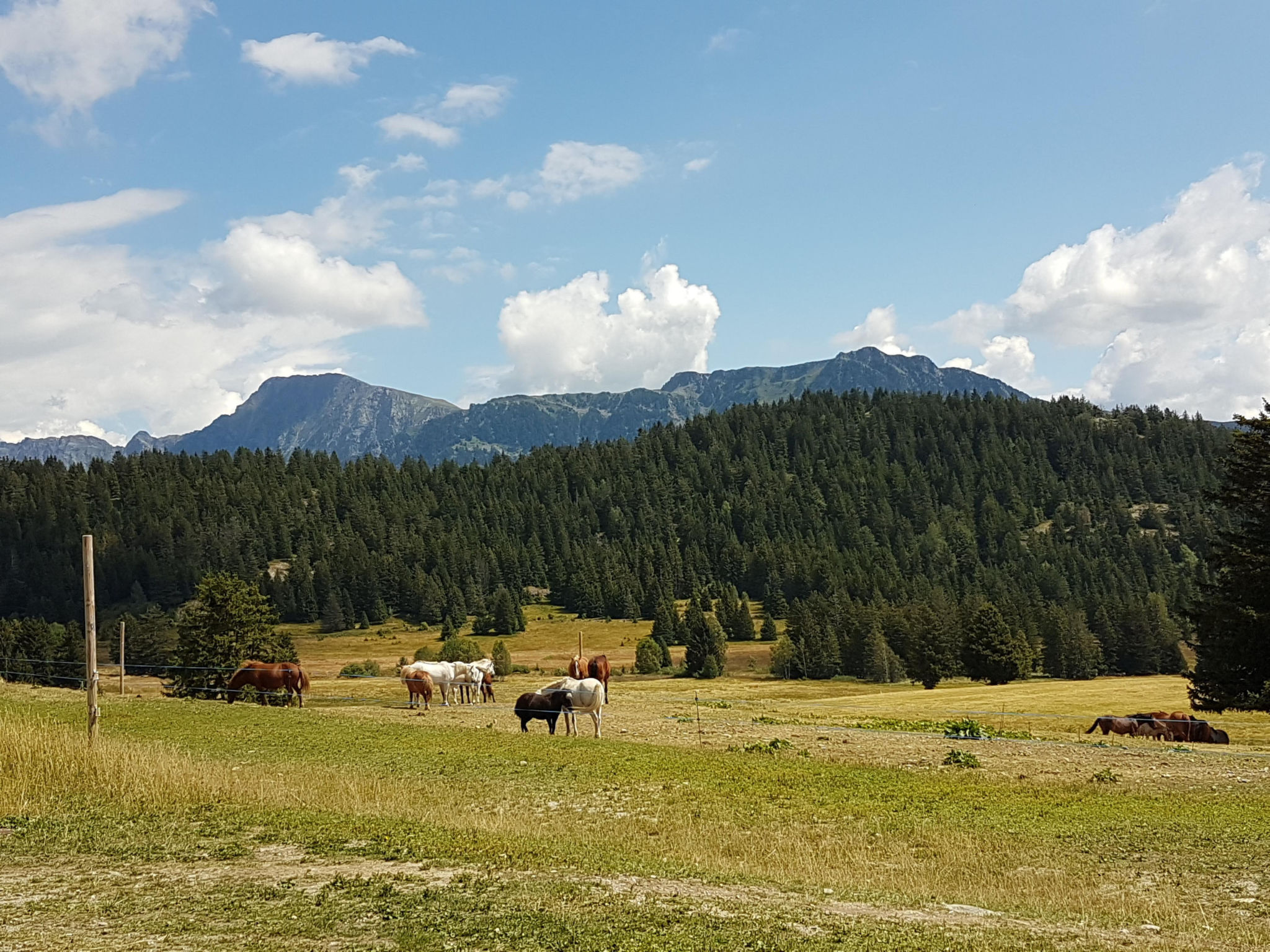 V du Bachat Arolles A-Draußen