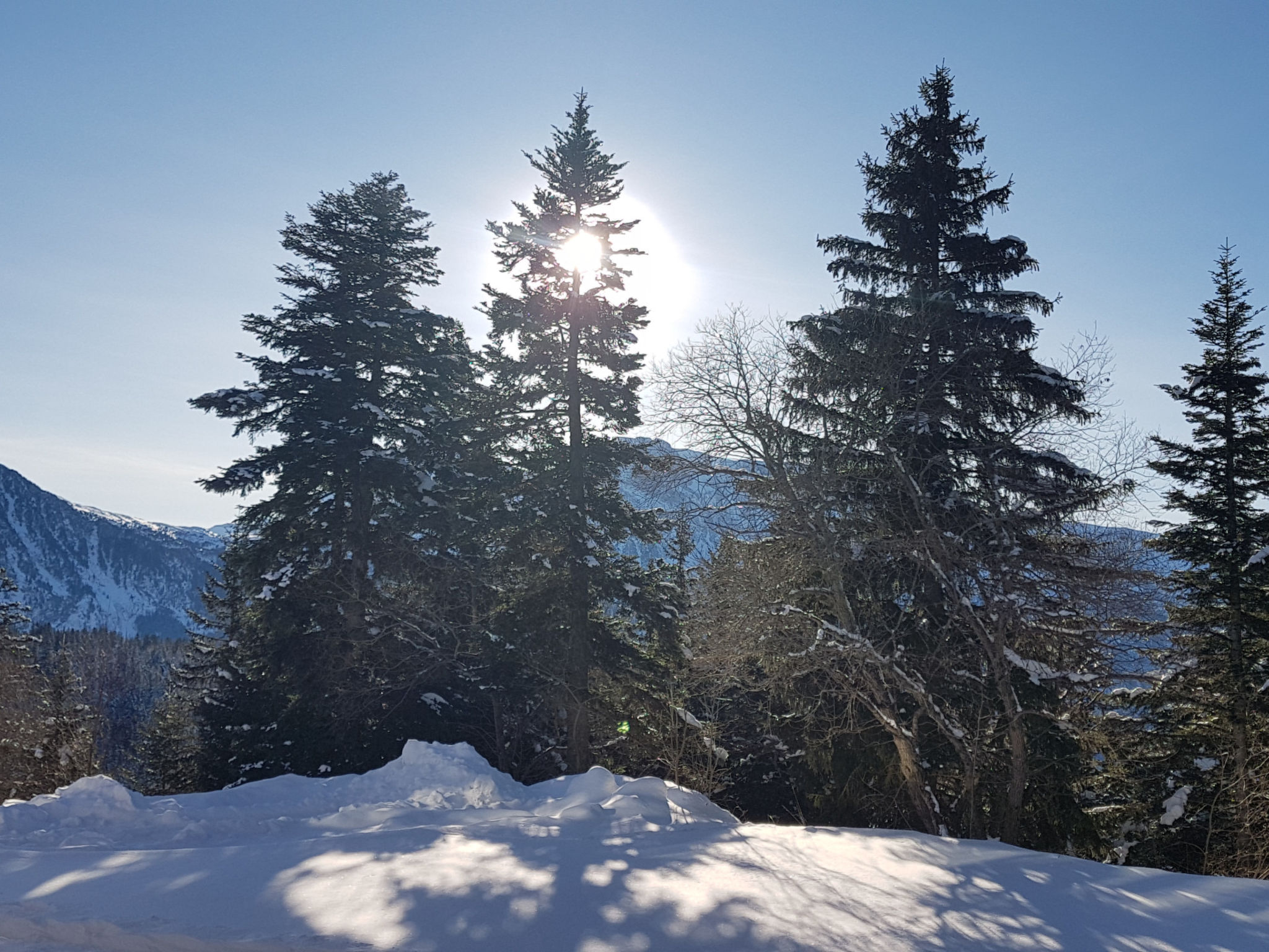 V du Bachat Arolles A-Draußen