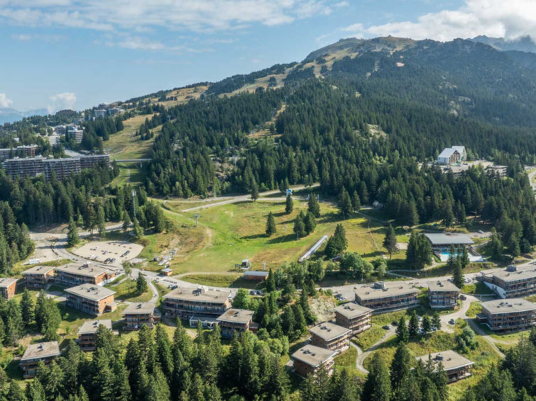 V.DU BACHAT Asters D – Chamrousse – Dauphiné