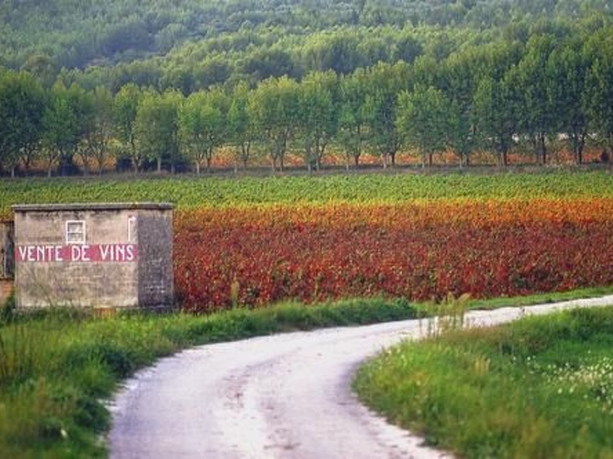 "La CIgale" mit Schwimmbad-Dedans