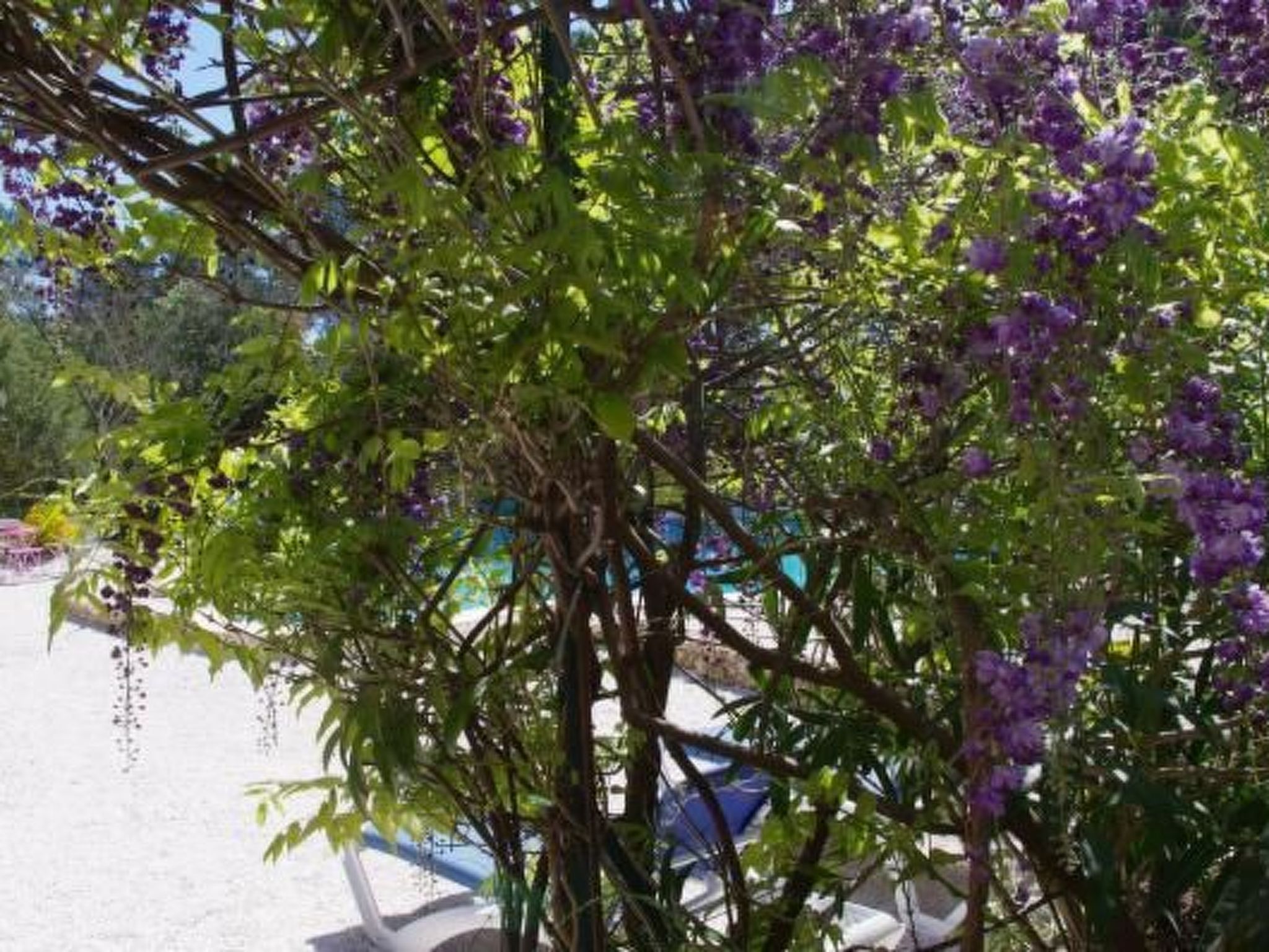 "Cigale" mit Pool-Dedans