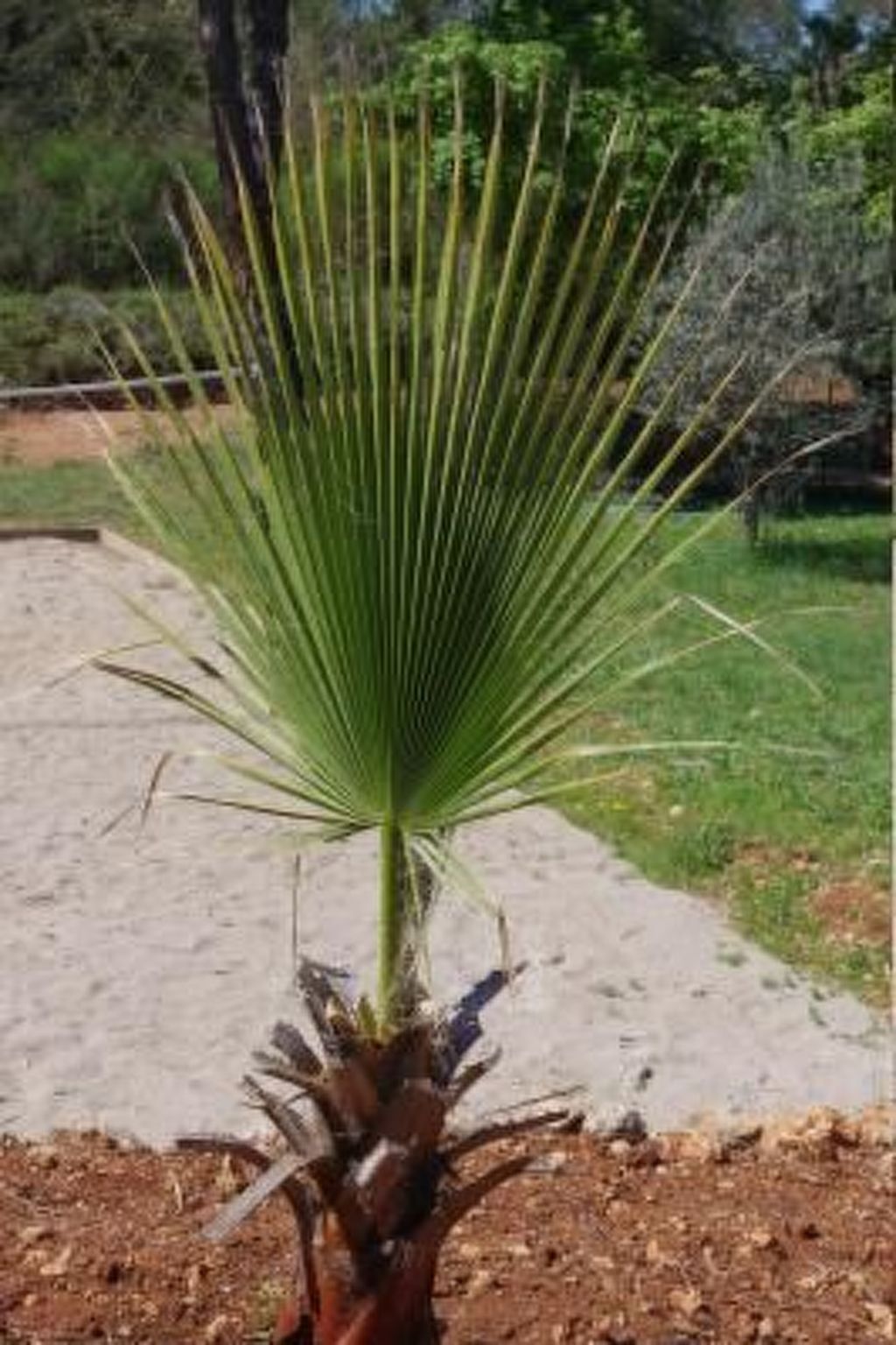 "Cigale" mit Pool-Dedans