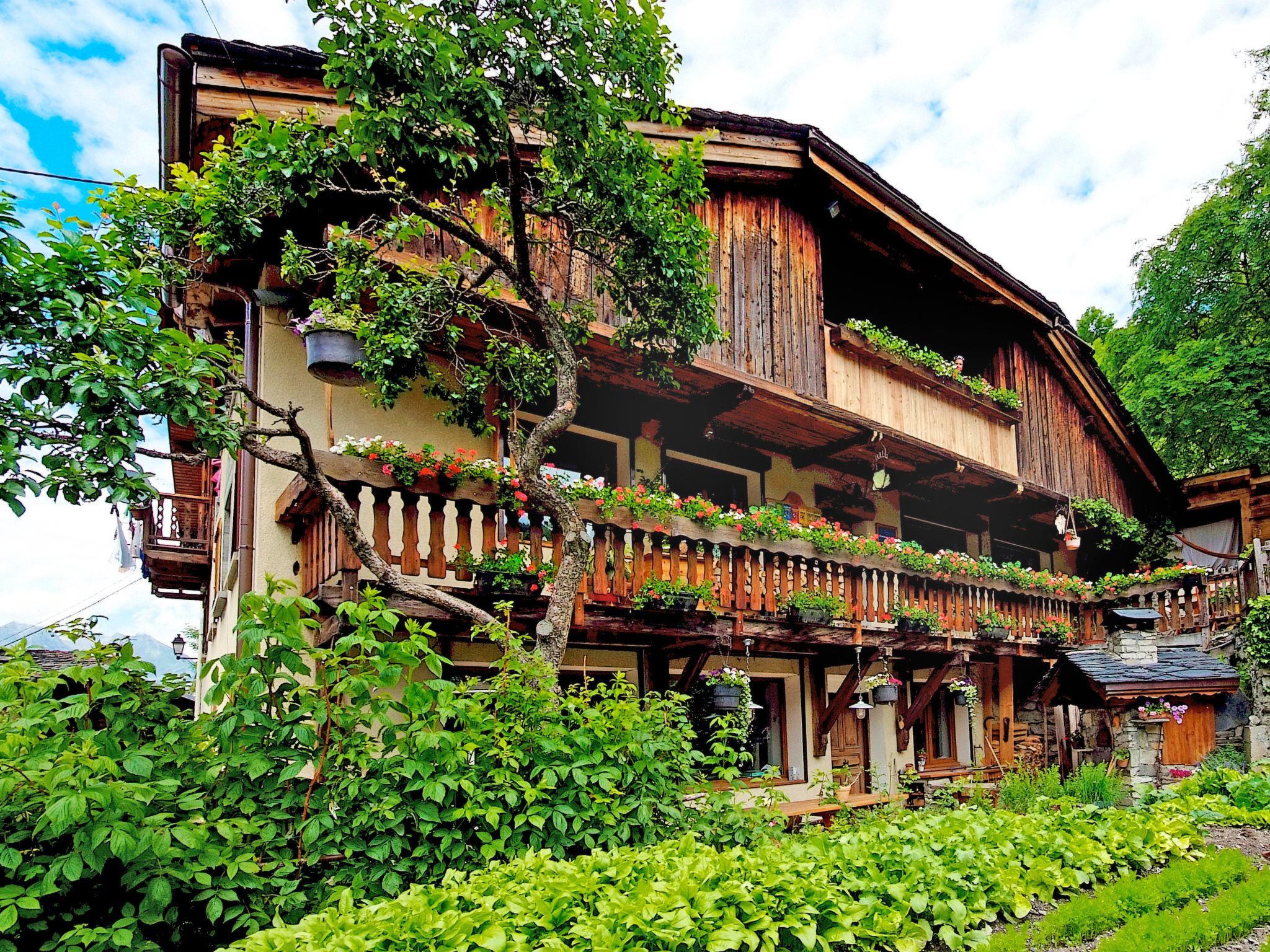 Chalet de Claude - Buiten