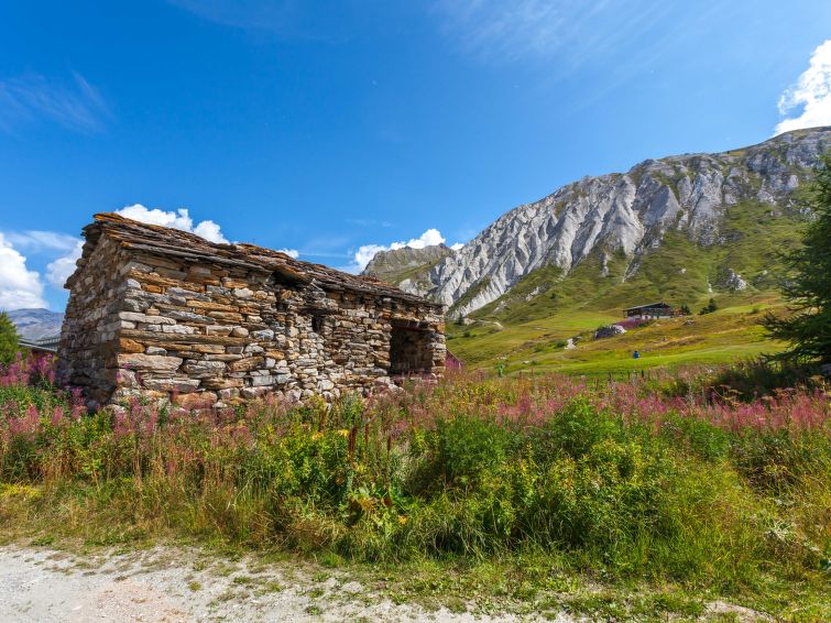 Le Cafetan (Les Chartreux) Accommodation in Tignes