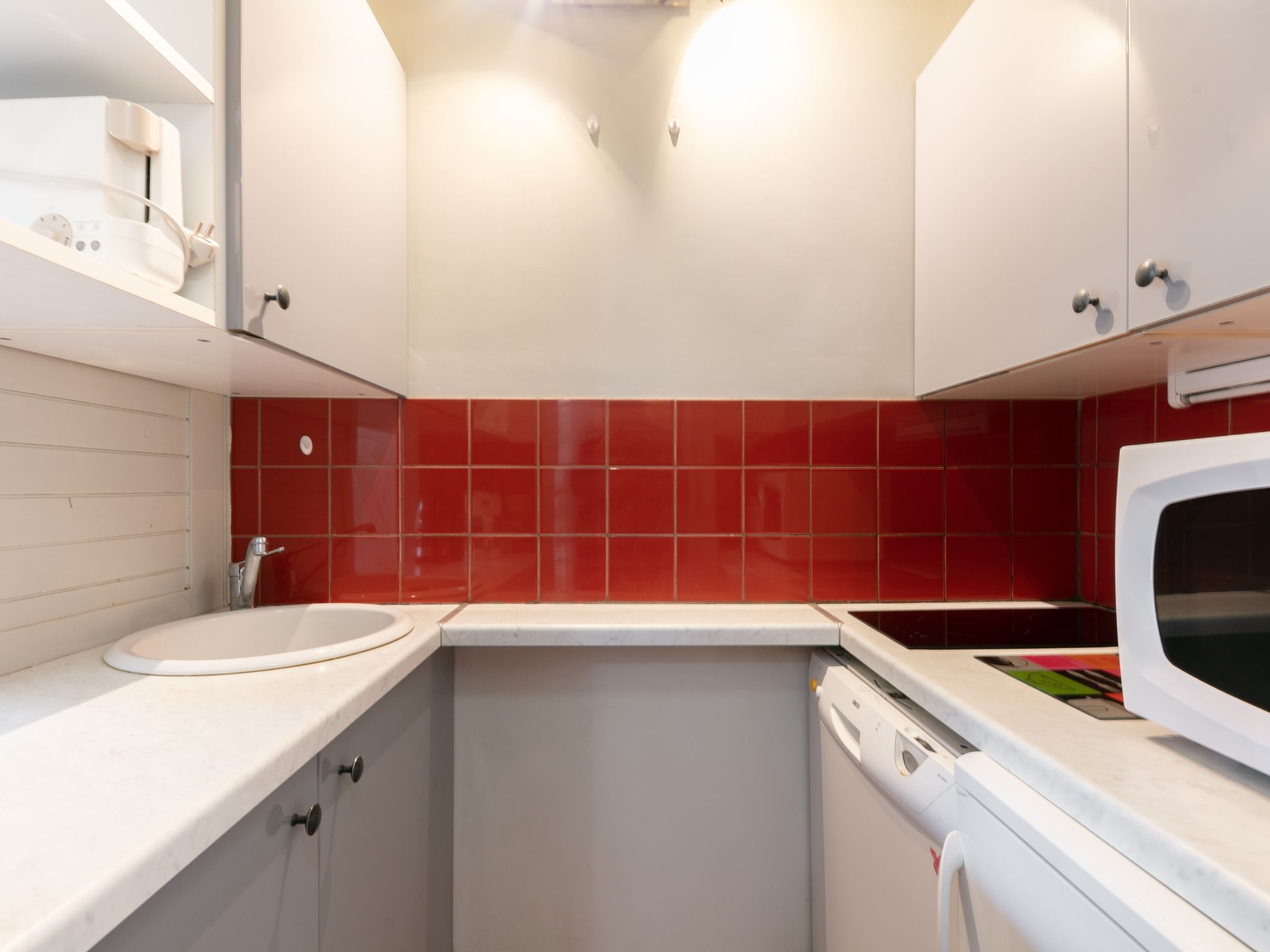 Photo of Soldanelles 413 B