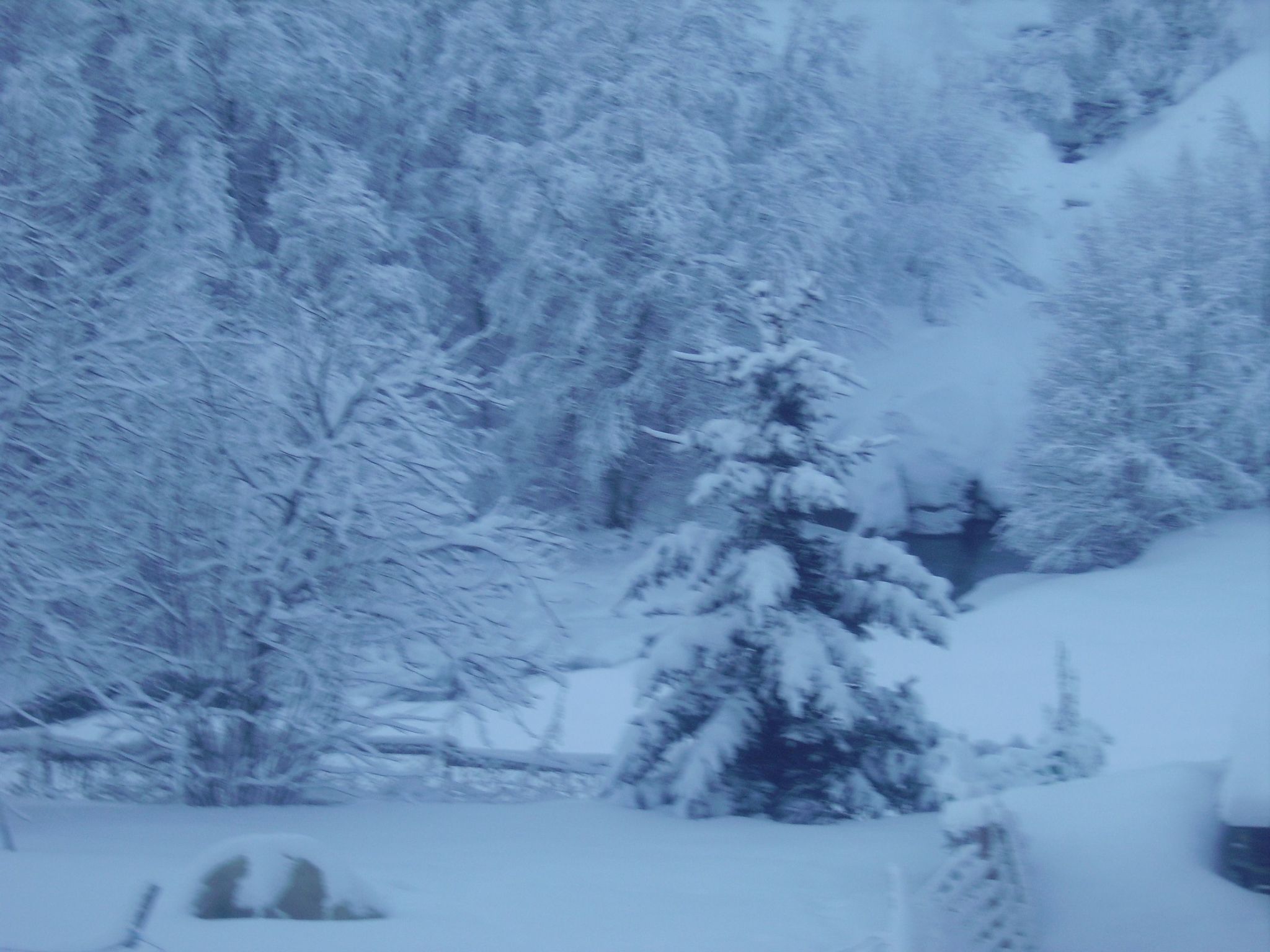 Photo of Wohnung in Chalet