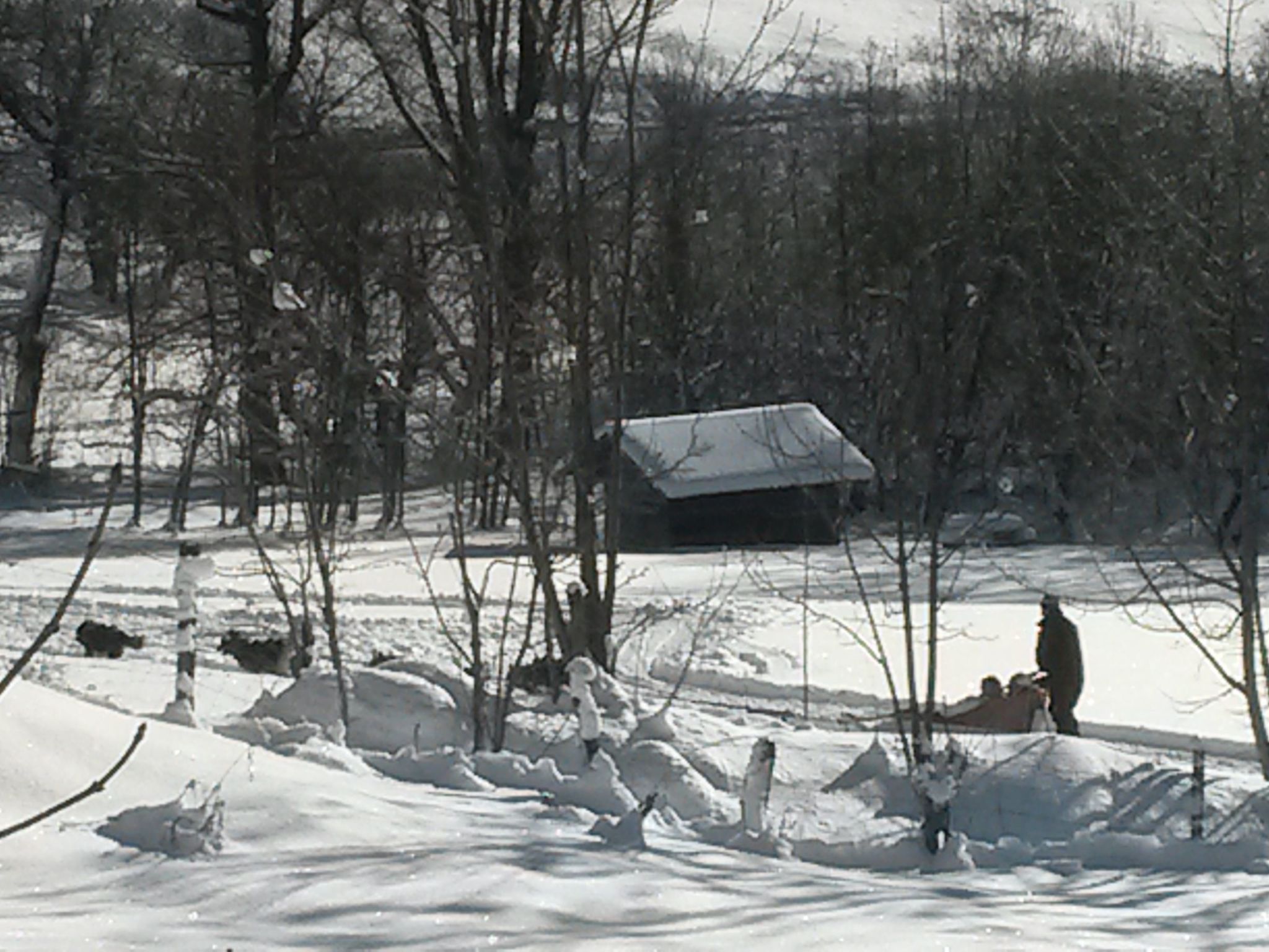 Photo of Wohnung in Chalet