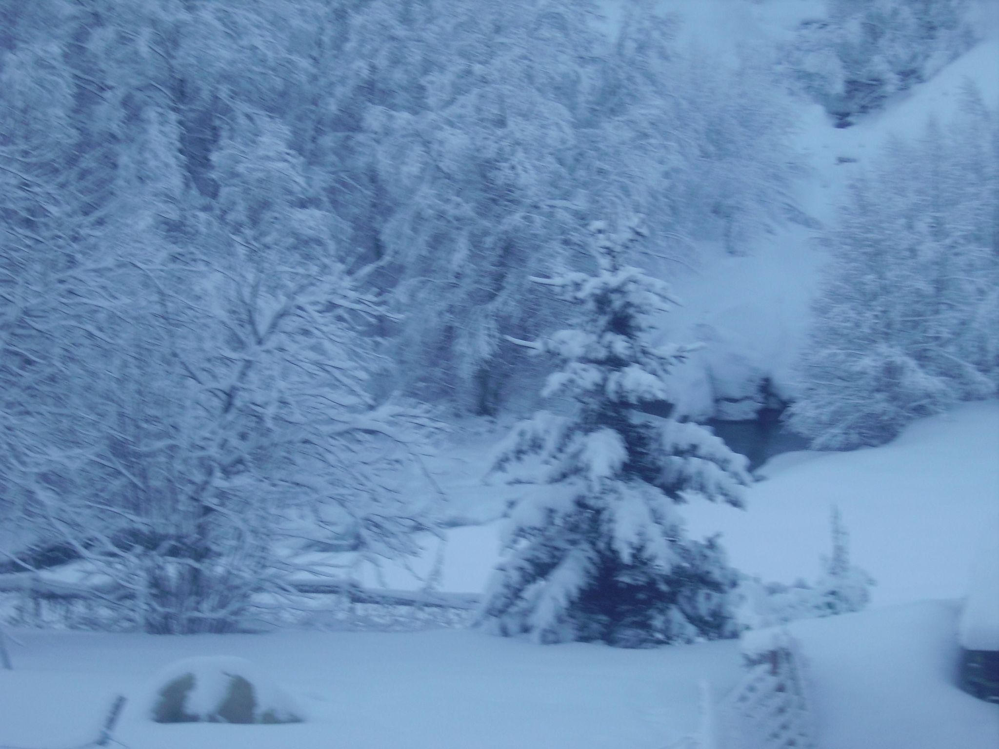 Photo of mit Grill und gemeinsamem Pool