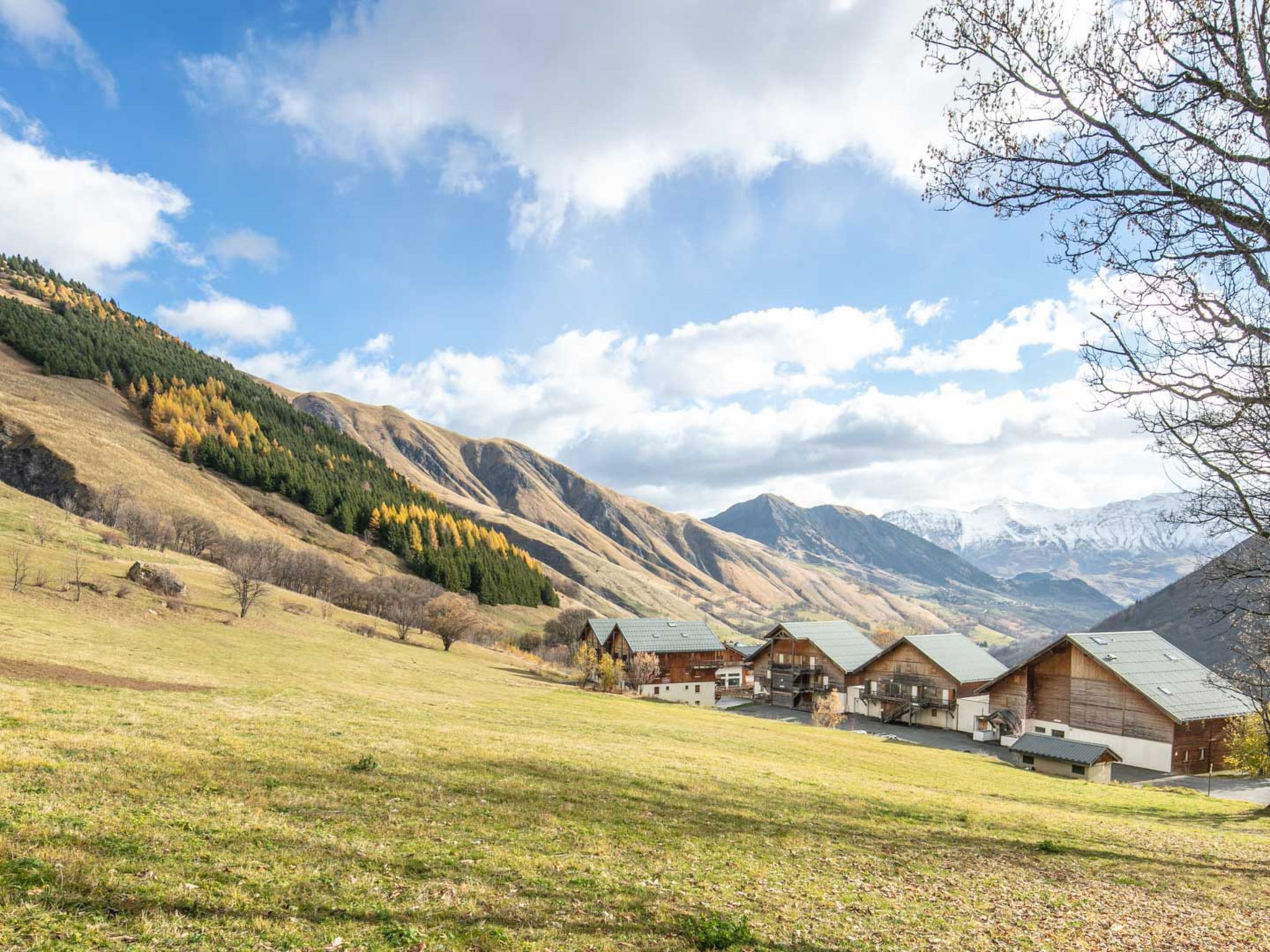 Photo of Les Grizzlis