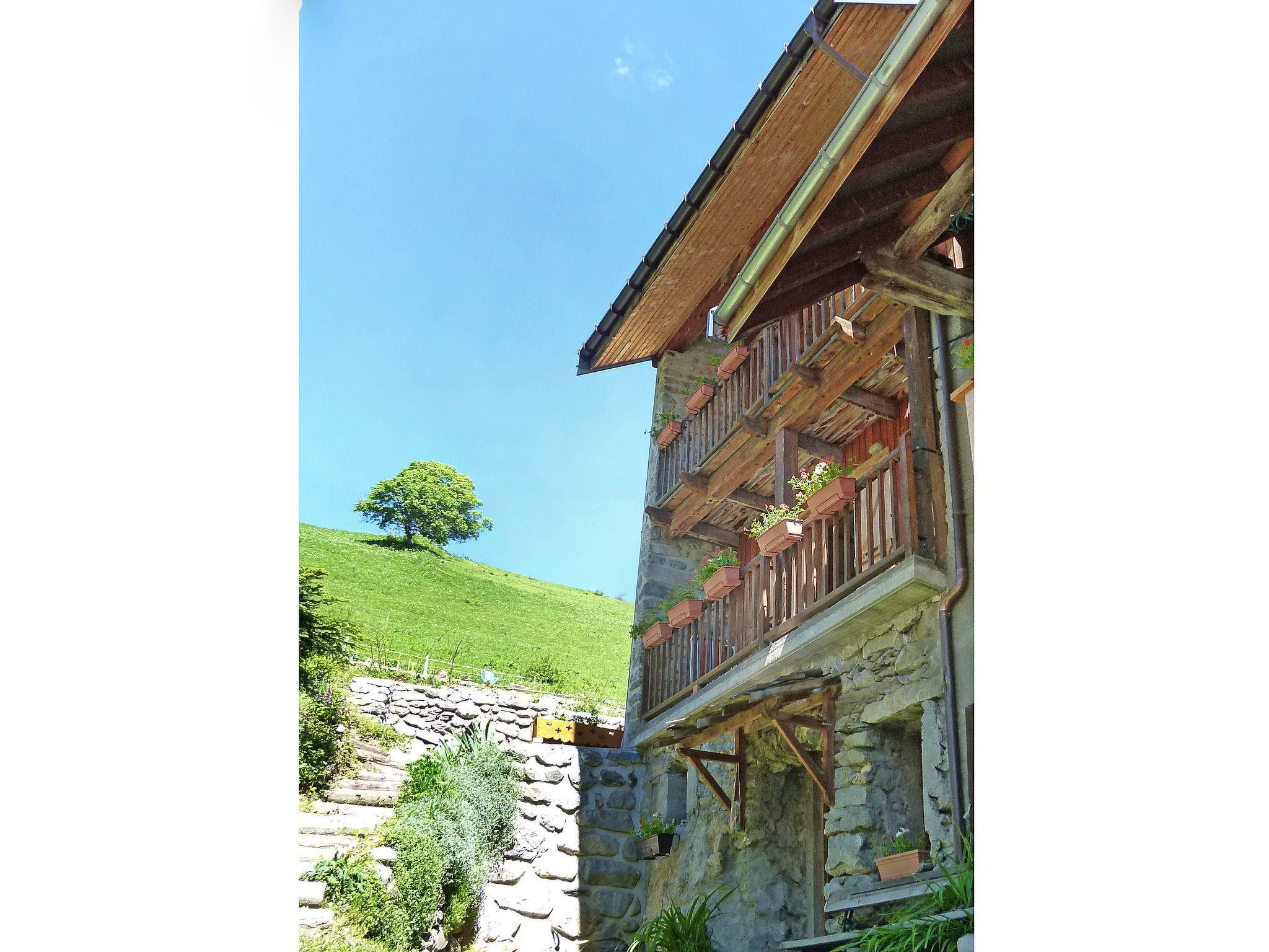 Vista Mont Blanc