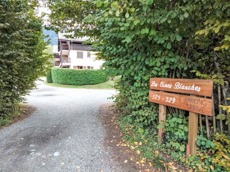Photo of Les cimes blanches