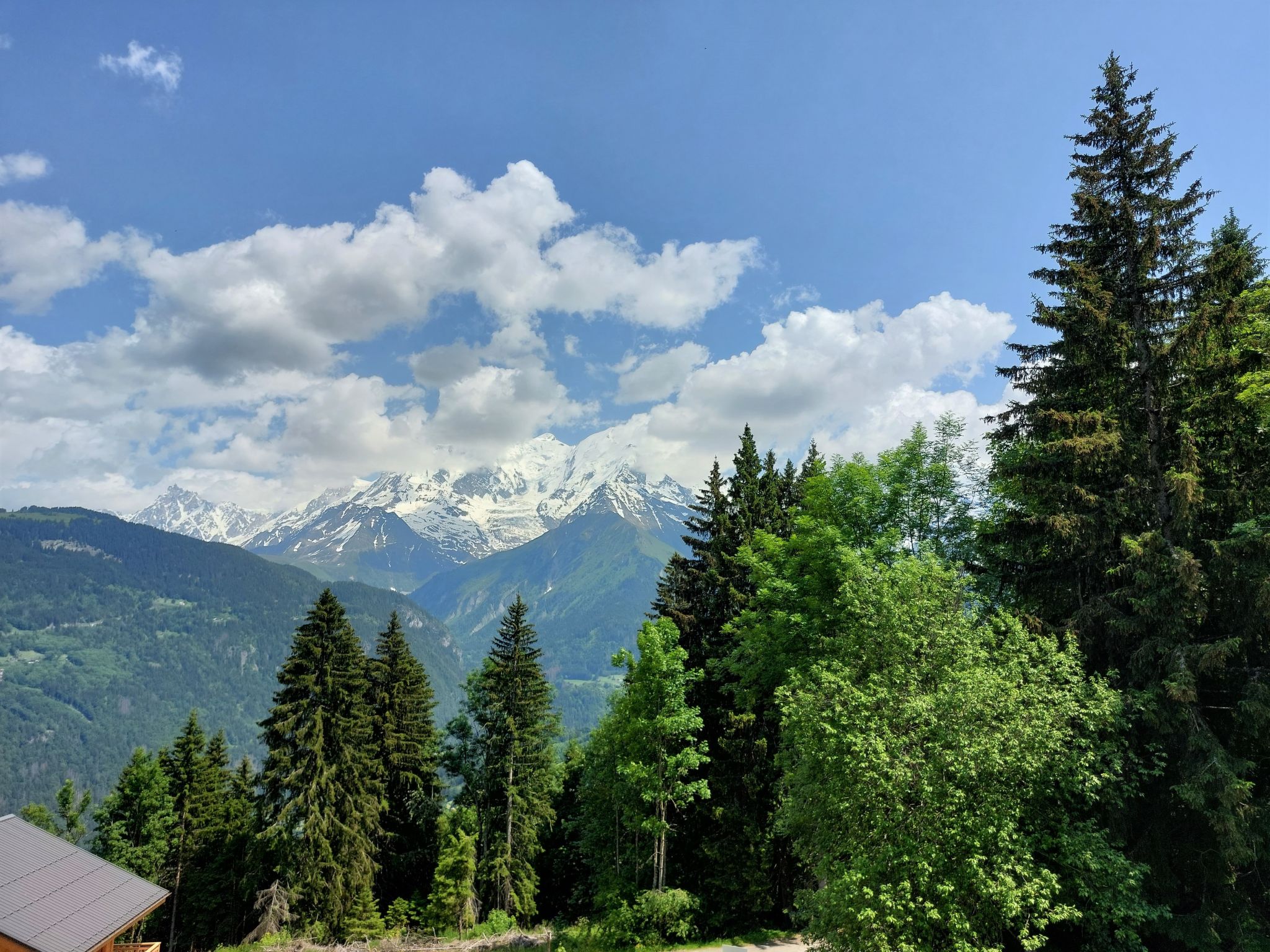 Photo of Les Tétras