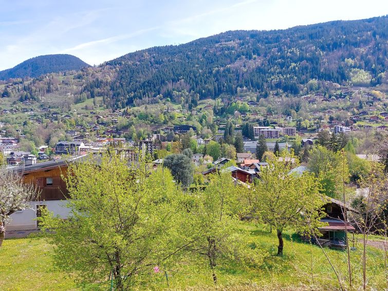 Photo of Les erables