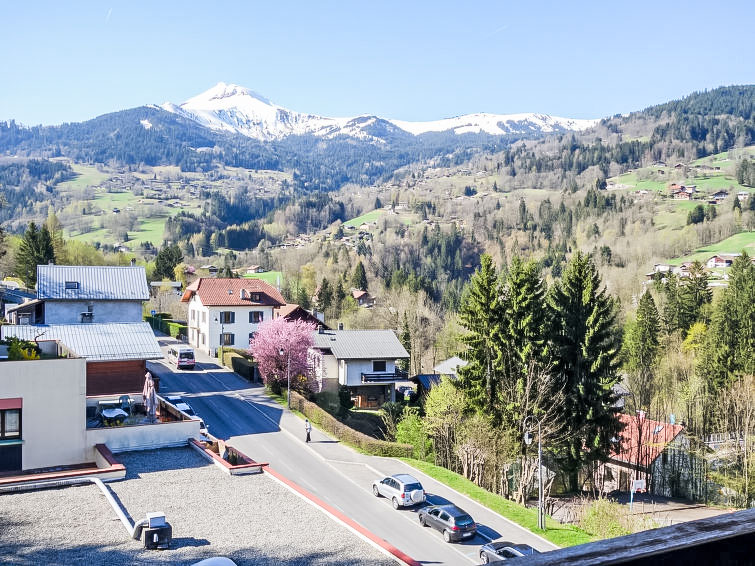 Photo of Fleurs des Alpes