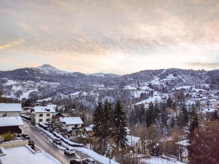 Photo of Fleurs des Alpes