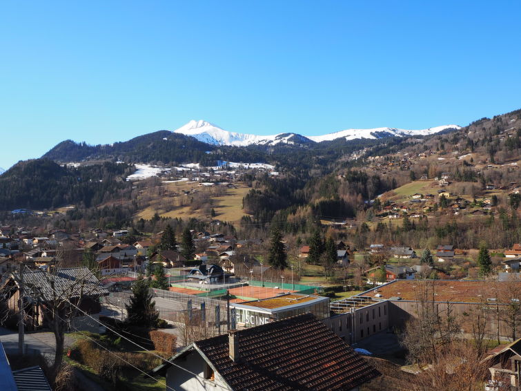 Photo of Les gentianes
