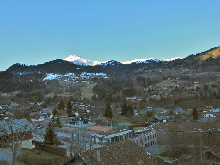 Photo of Les gentianes