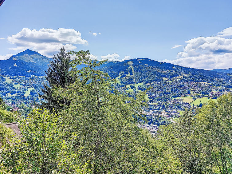 Photo of Chalet le Prarion