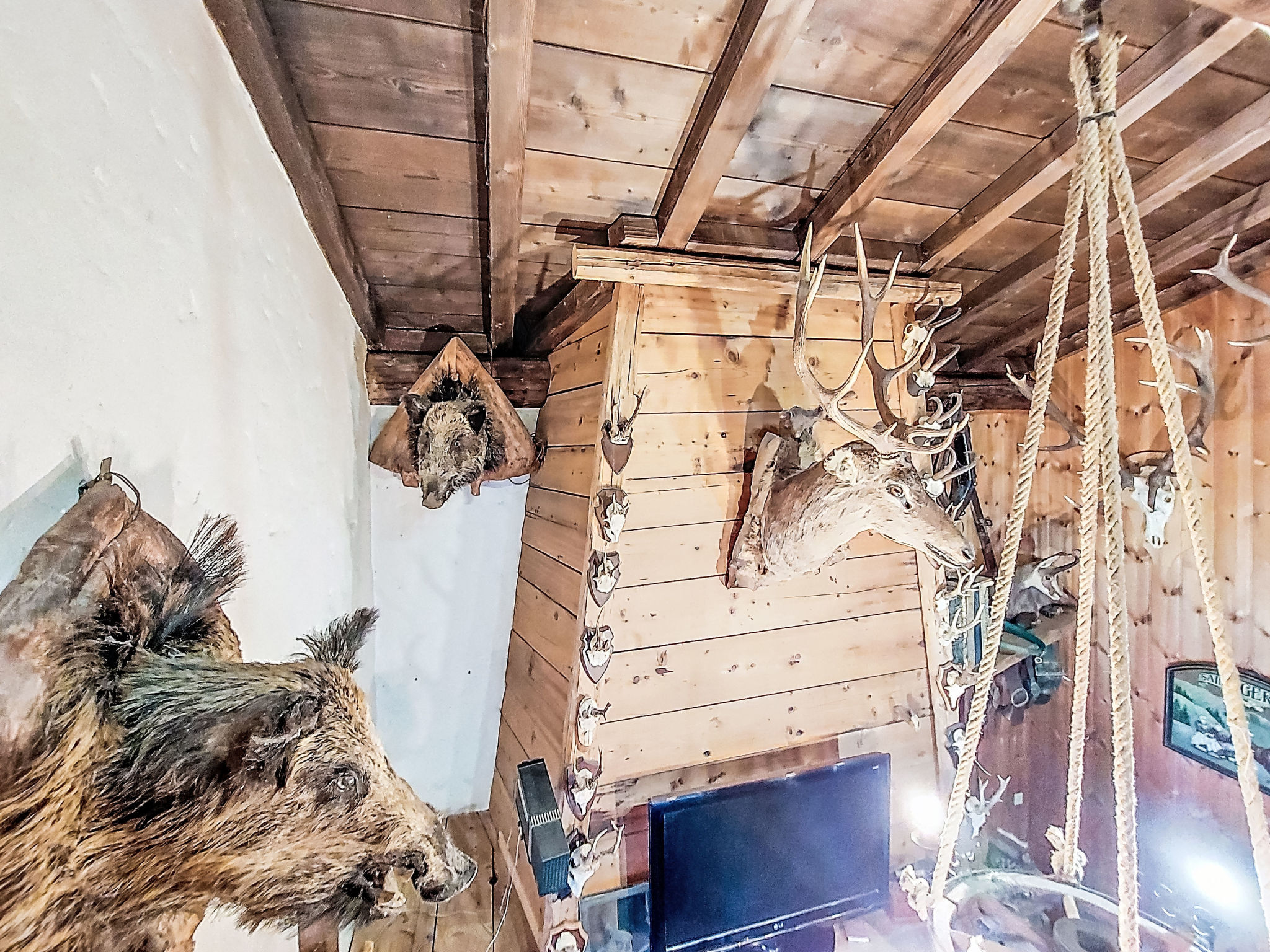 Photo of Chalet le Prarion