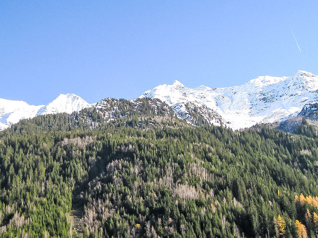 Bild 17