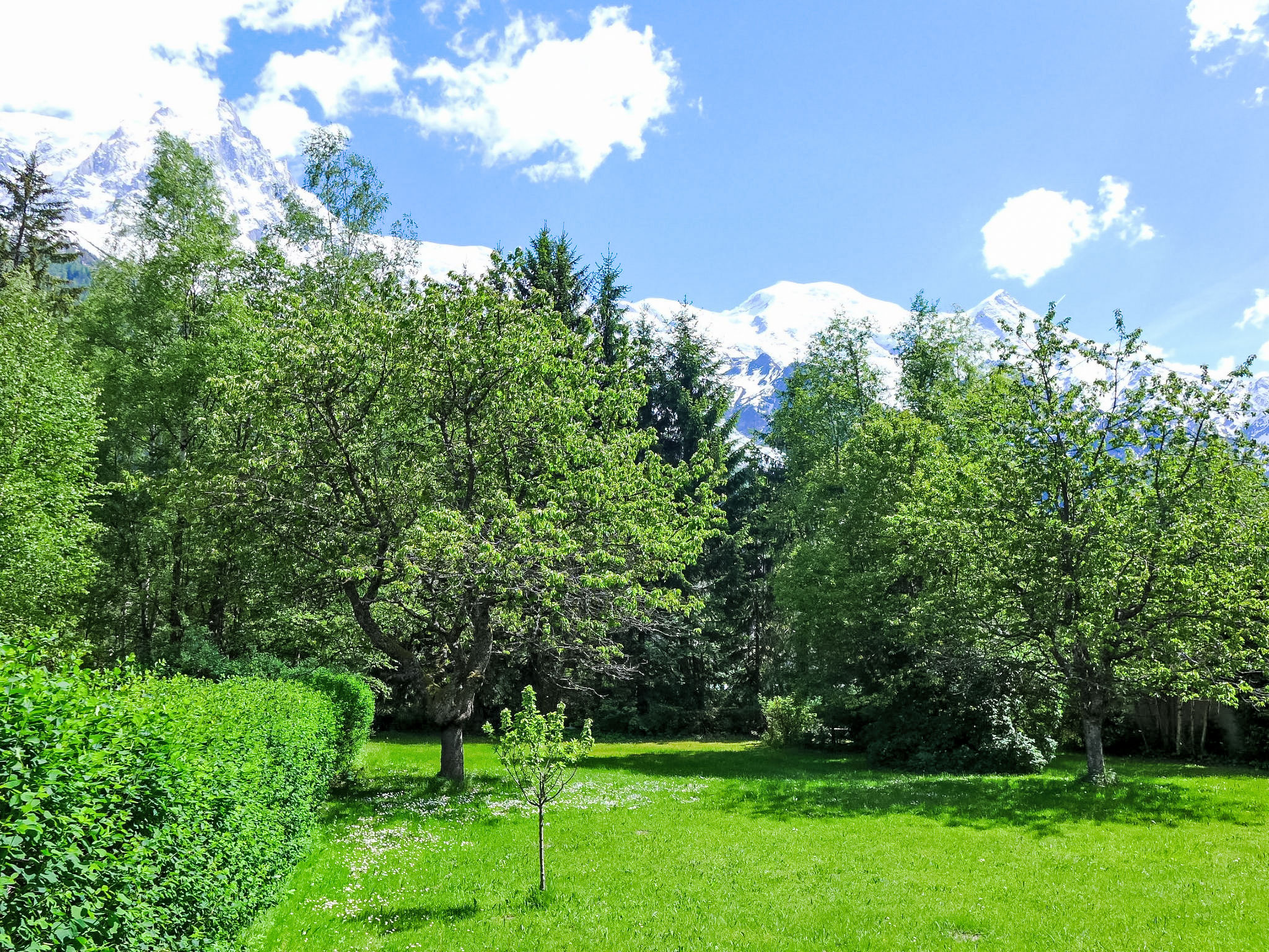Photo of Maison Novel